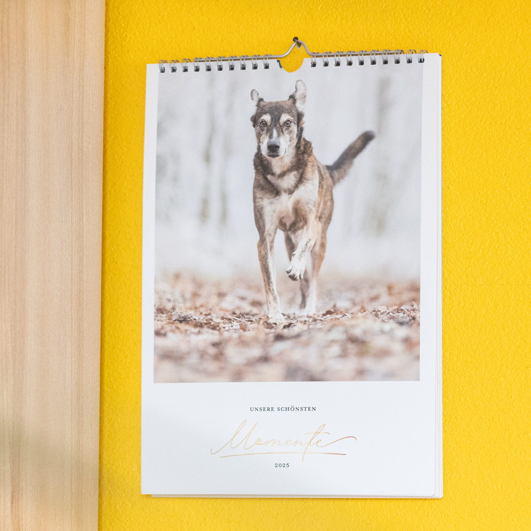 kalender_riesertatzen riesertatzen Kalender
