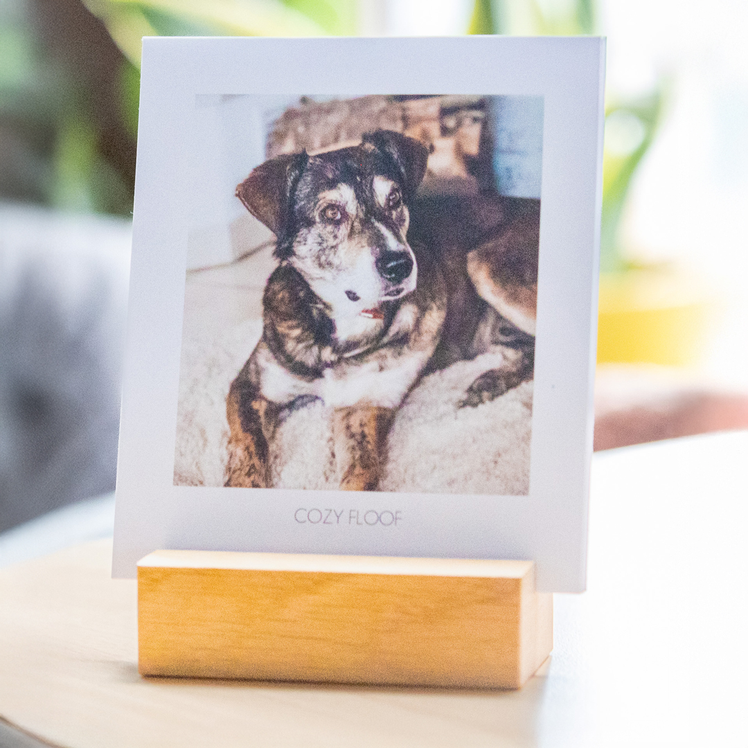 riesertatzen_tischkalender2 riesertatzen Tischkalender