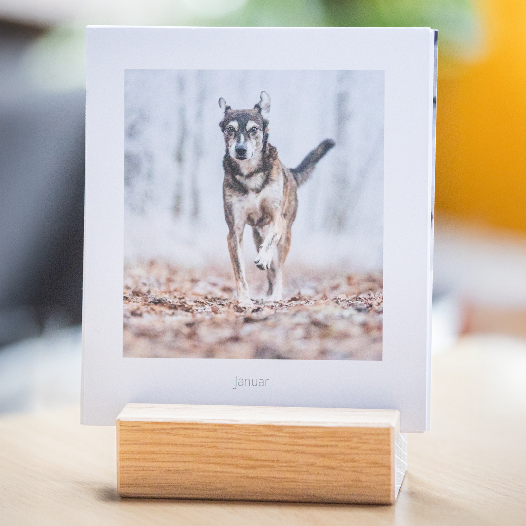riesertatzen_tischkalender4 riesertatzen Tischkalender