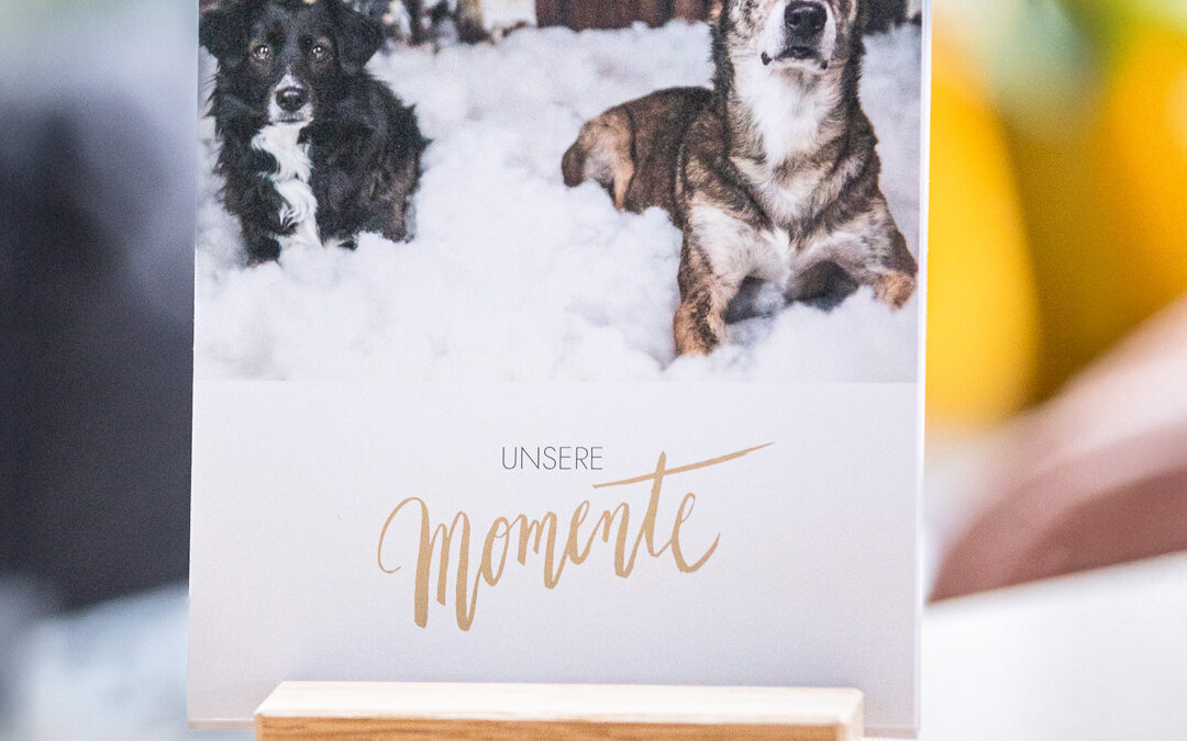 Printprodukte mit deinem Tier als Geschenkideen für deine Liebsten