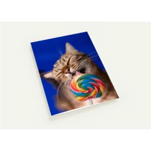 5d51dd86-2315-444f-81f8-070d7f381271