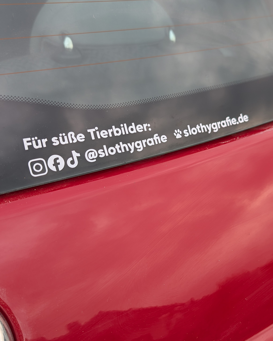 Autobeklebung3 Autobeklebung geplottet