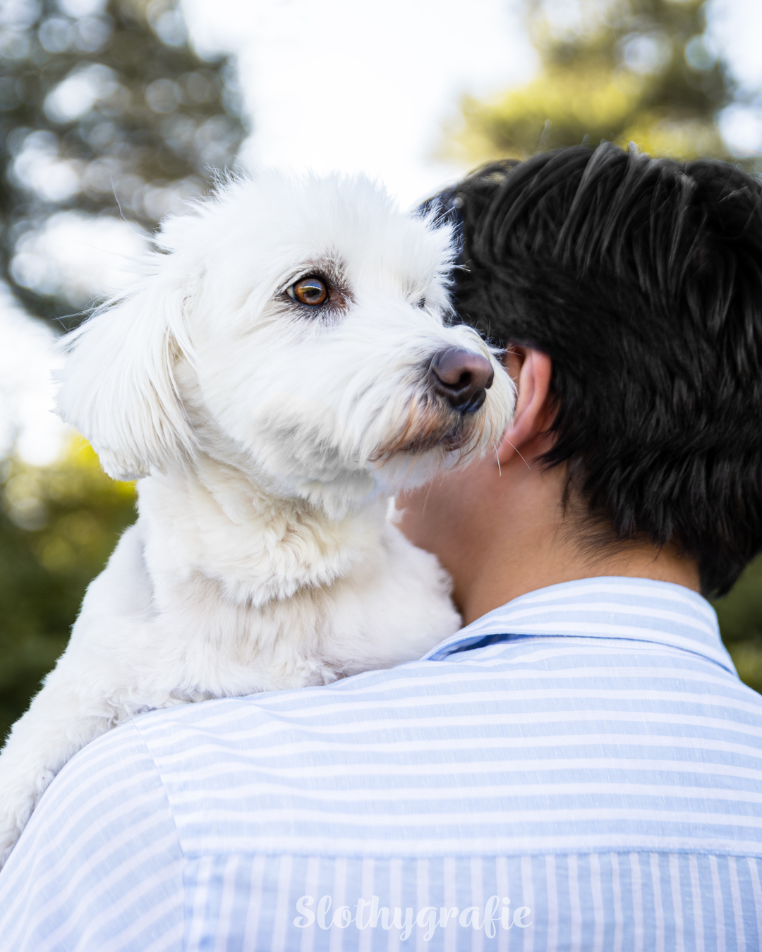 Hundefotoshooting mit Chico beim Fotowalk rund um München in Fröttmaning Hundefotoshooting mit Chico beim Fotowalk rund um München in Fröttmaning