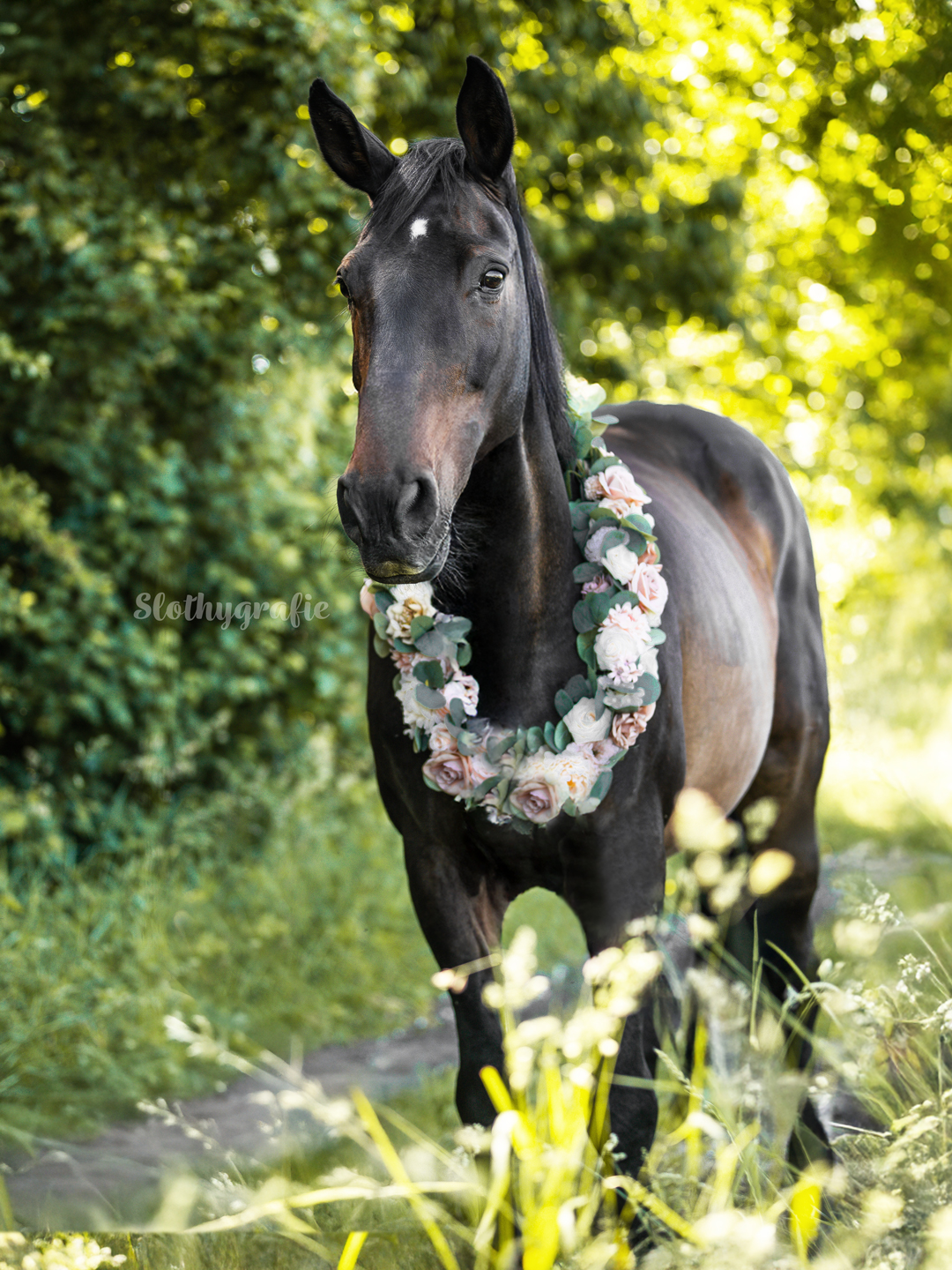 Pferdeshooting in Aresing - Pferdefotografie mit Shaky