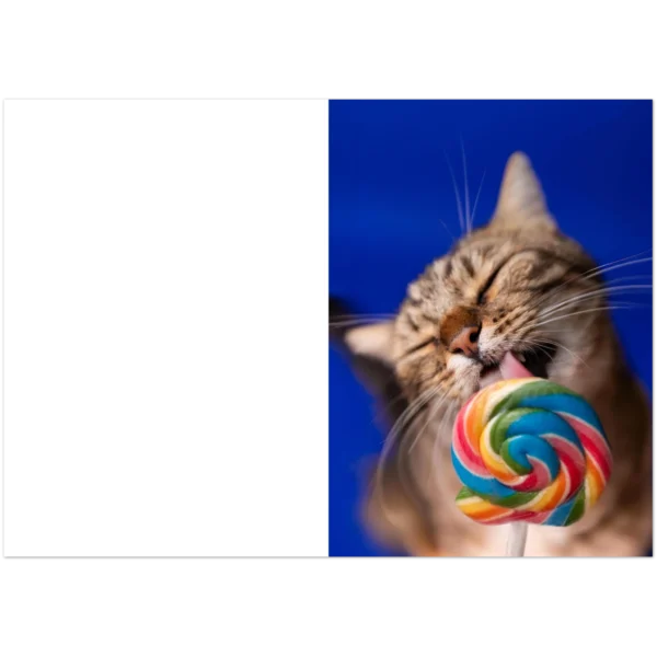 e700d07c-84d4-4ddc-85b8-08c9c0de7b2a