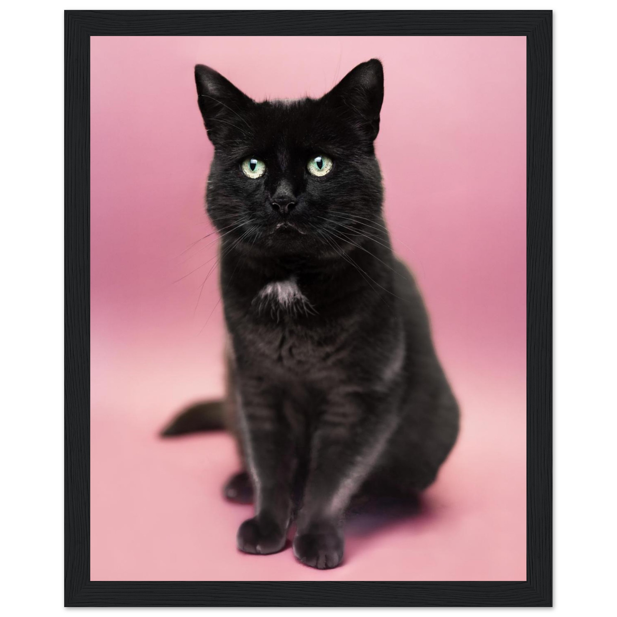 057ca3f4-4d7b-47c2-bb60-833fd0895bbf