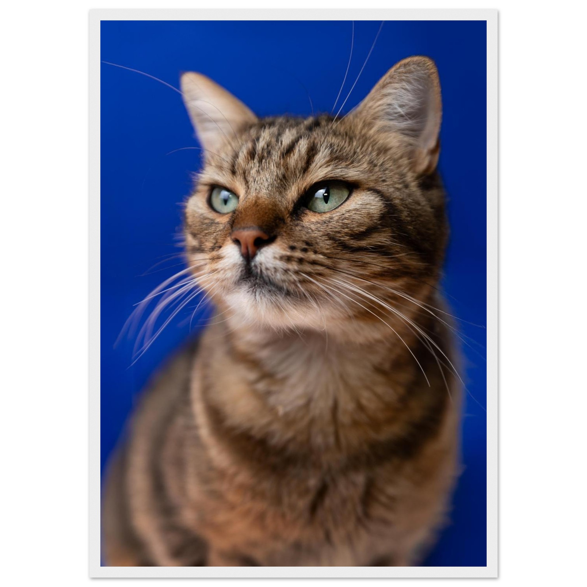 0594d8ef-9ad9-4817-860a-51118feb071f