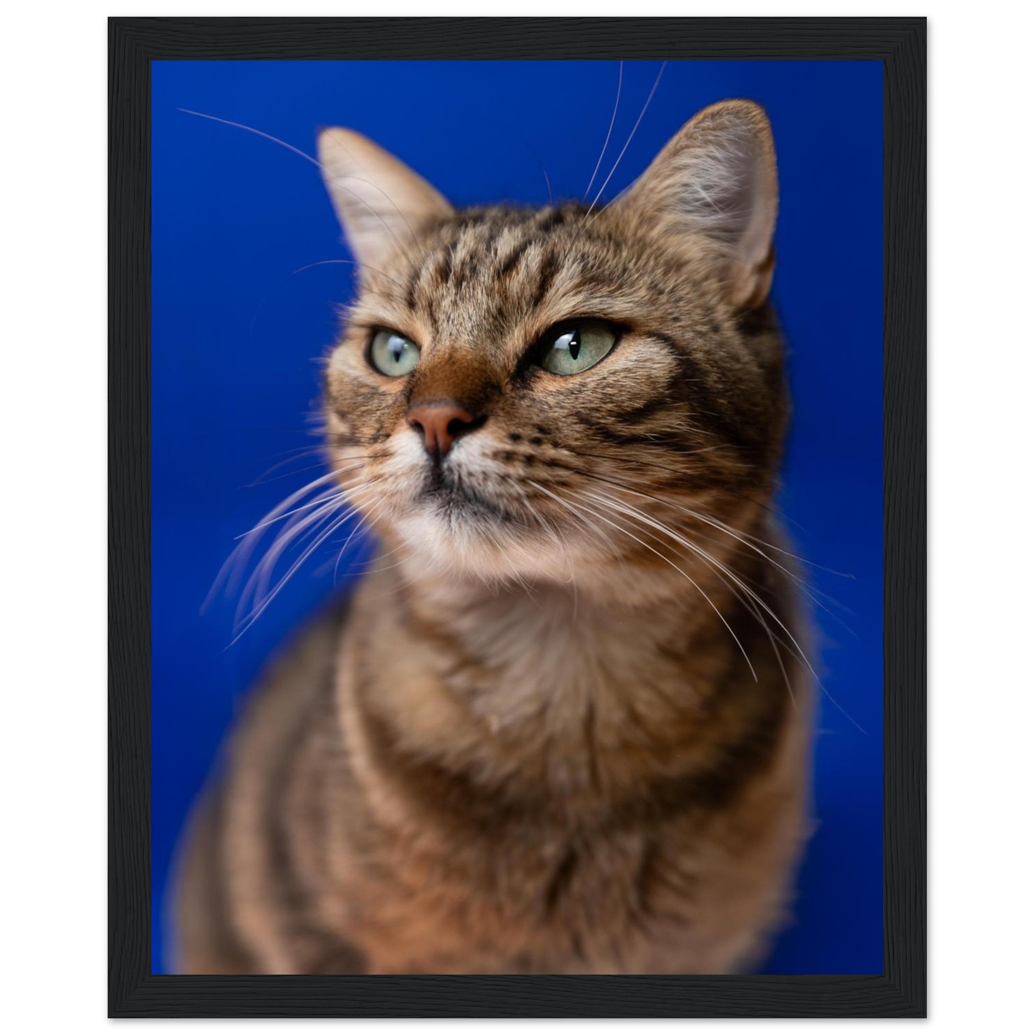 0607ac36-d247-4f76-b6c7-c51f38eefd19