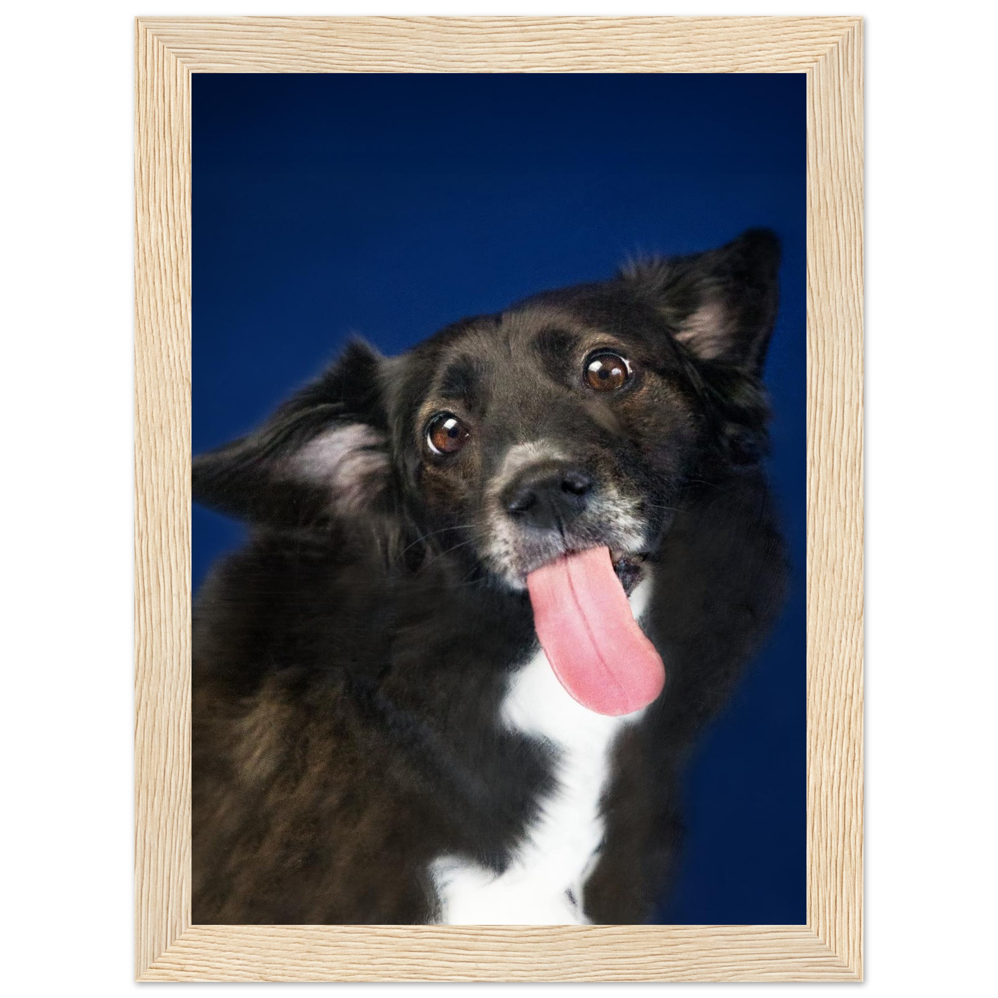 0e42ac55-9267-43d2-bc50-13de5f1c7afa