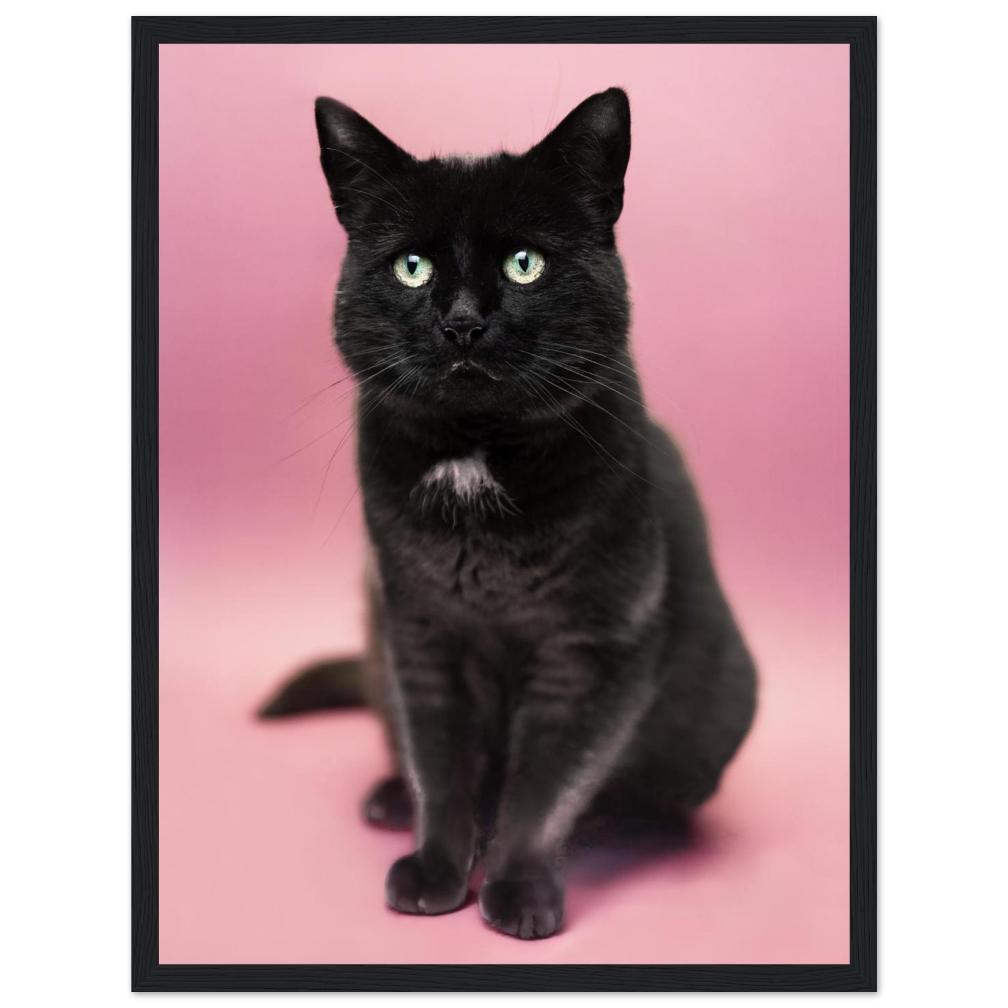 11713421-0808-4fd5-b26c-1dd79ec88c0b