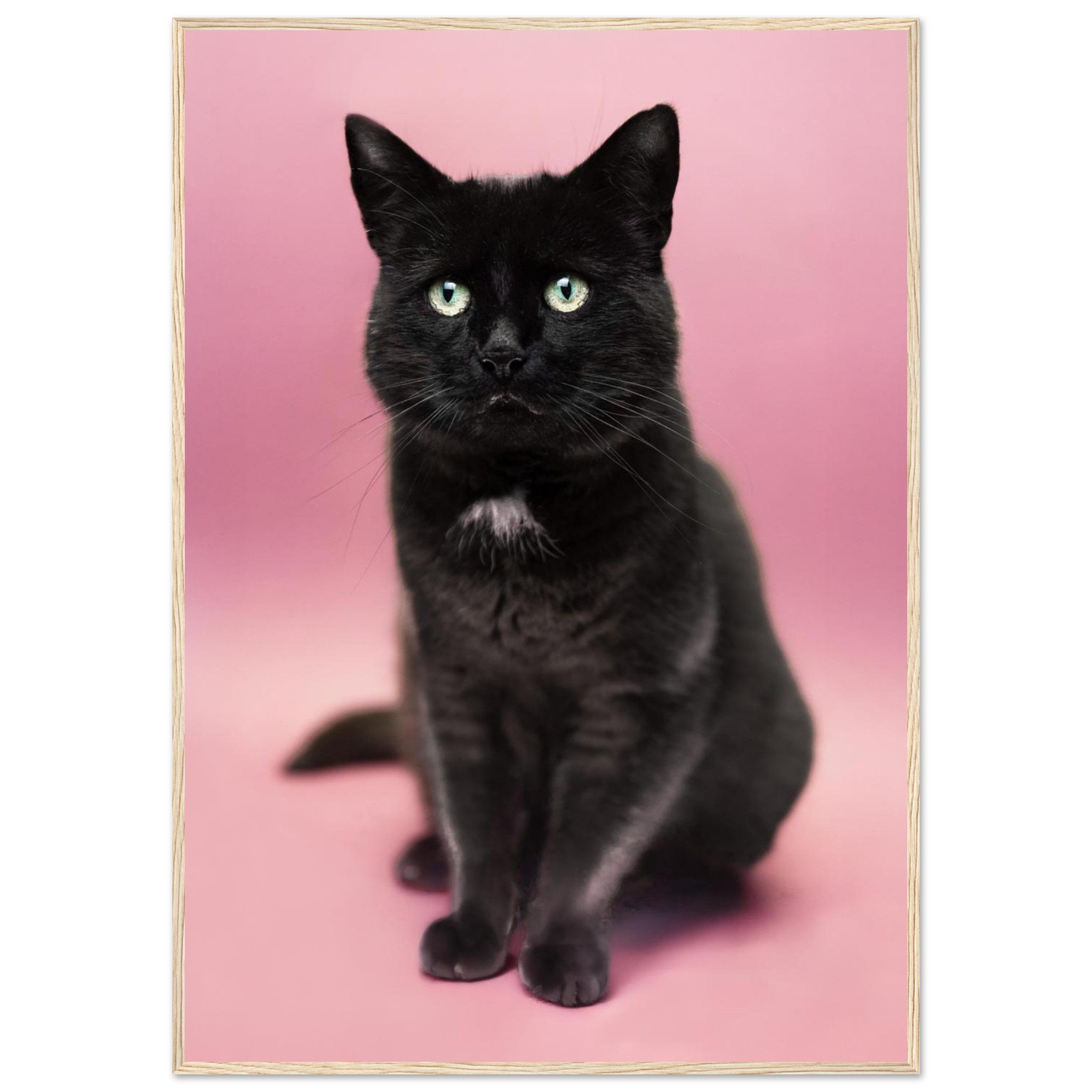 1238745d-aa84-4b4b-84c1-c40ef2bf4a0e