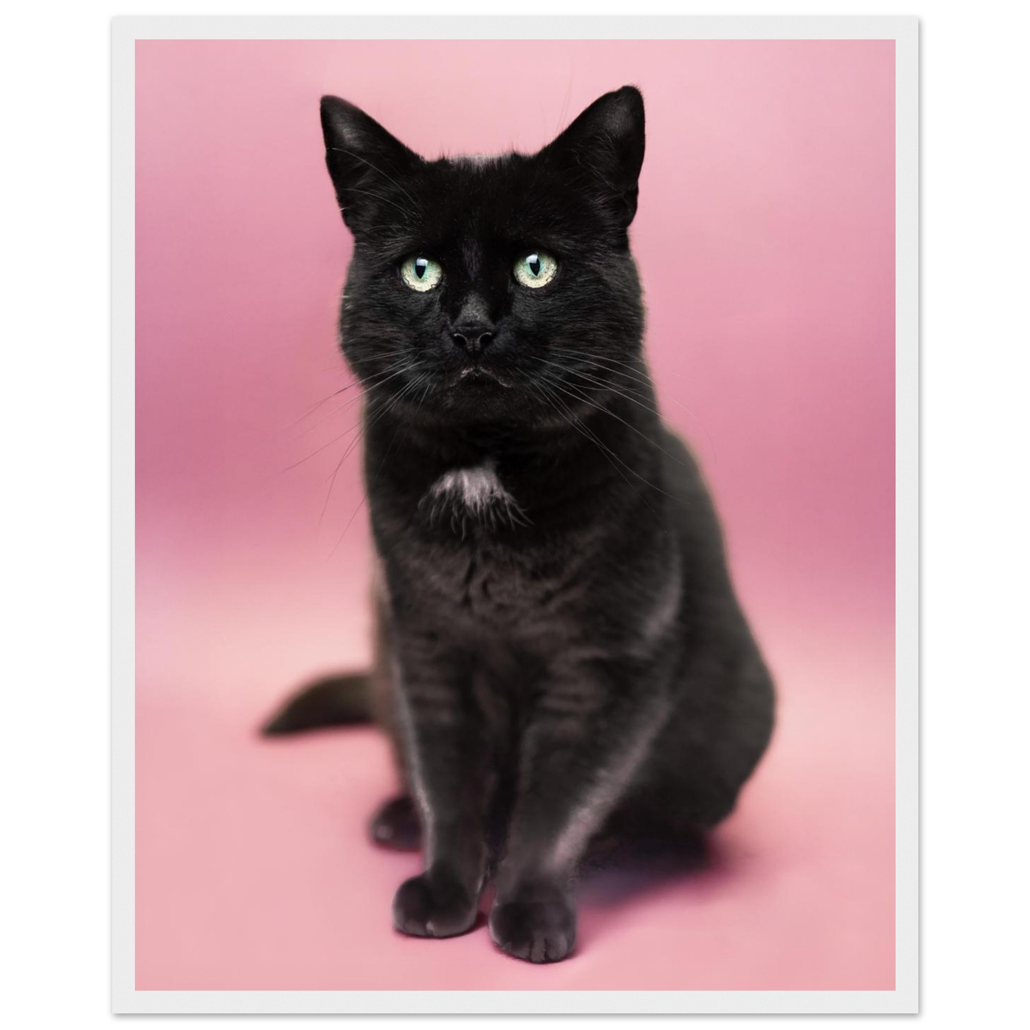 137c1856-6421-468c-80d9-4a1ffcc9318e