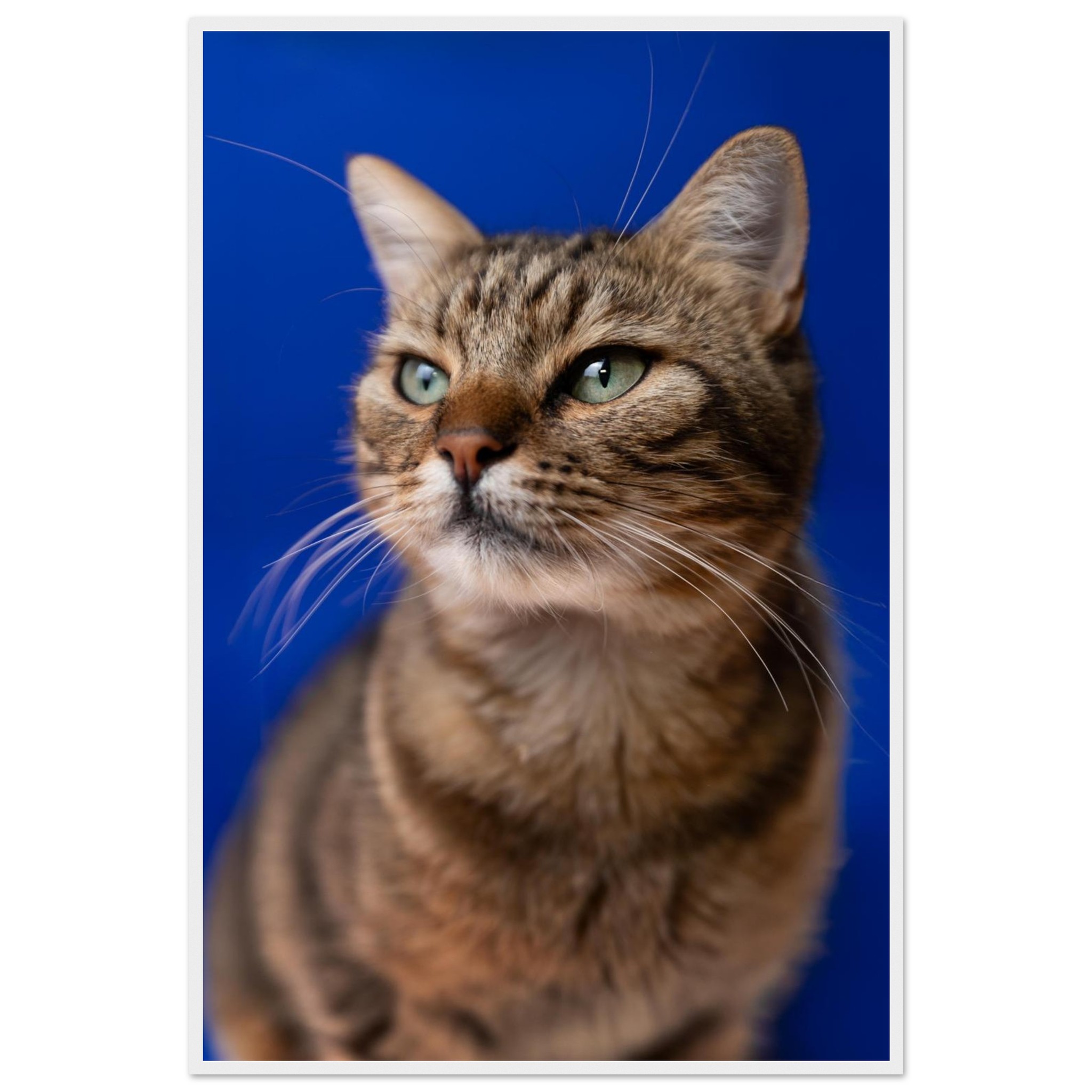 1a3594f7-3b6c-419a-8da1-6f58a8066d98