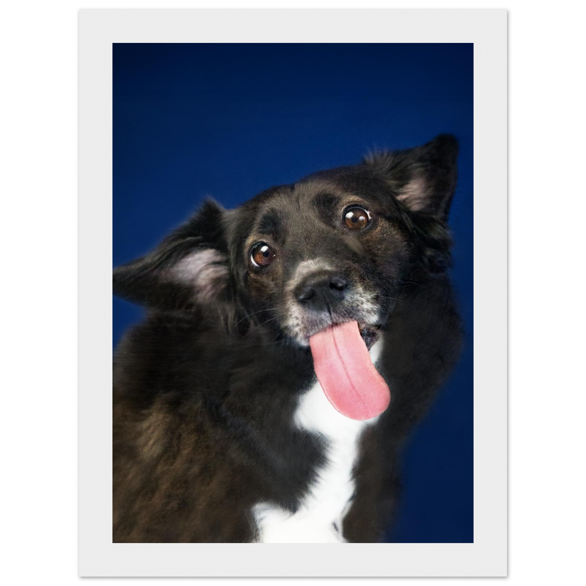 1a9230bf-1d29-4ef5-979f-f49aa69127c9