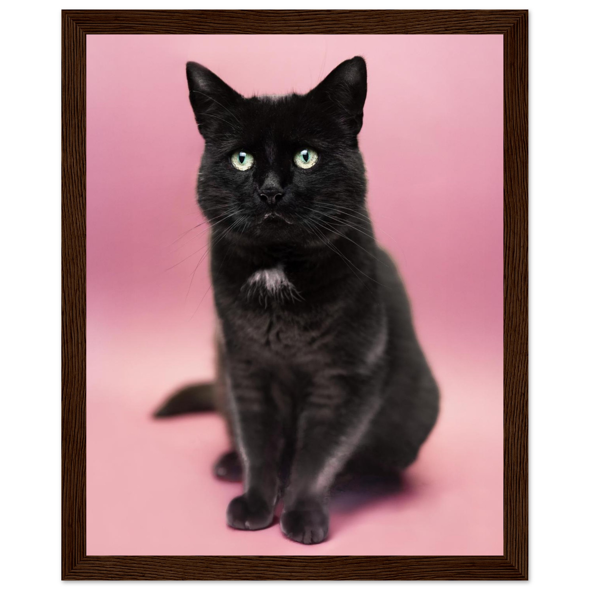 1b997f41-ac6f-4c27-a6e8-0c4e60794e97