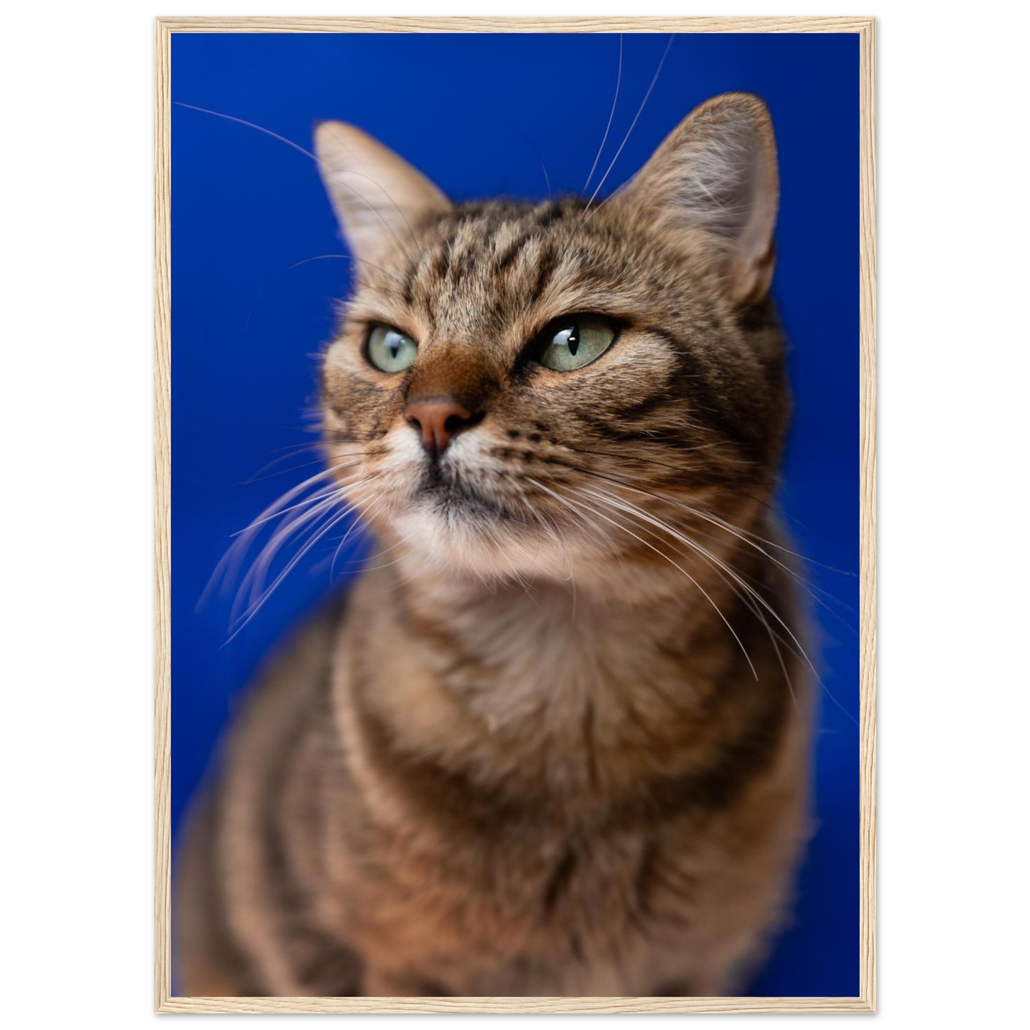 1be5efbf-6748-42dc-8556-357e6faa9760