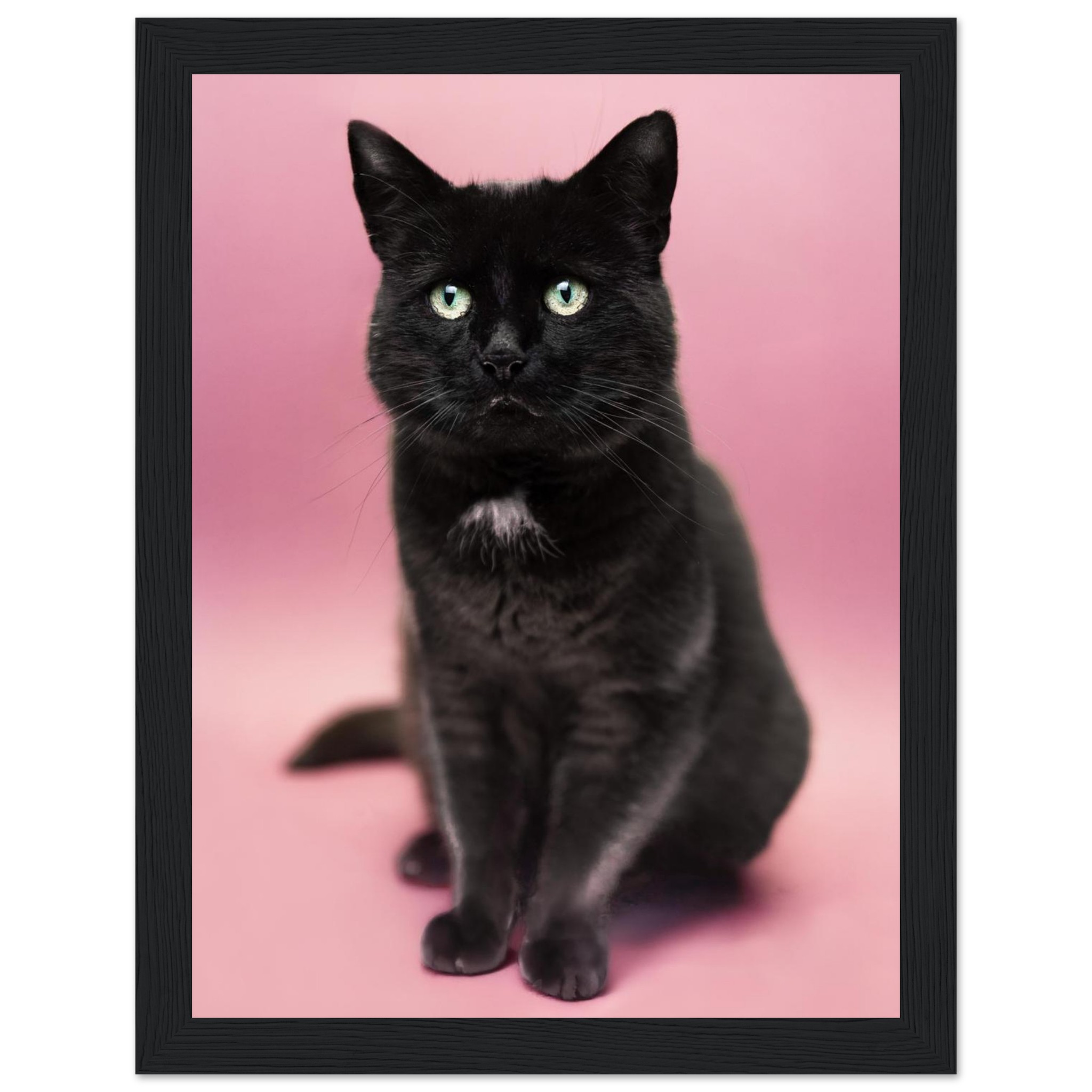 1ff578dc-6233-42f4-a43a-2b901db47846