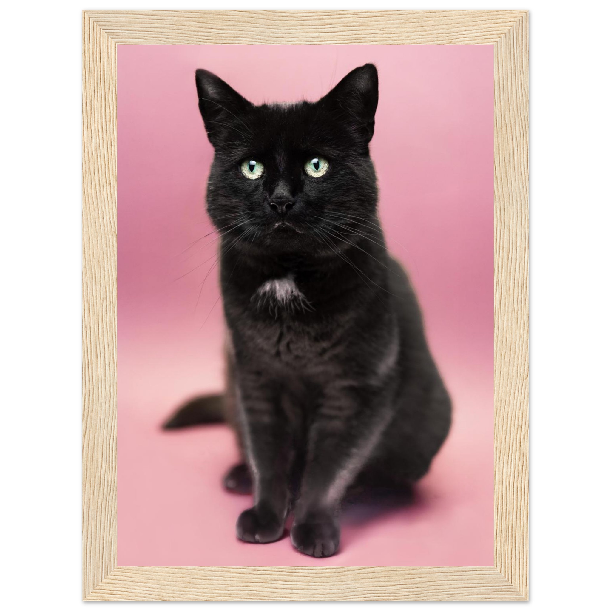 208aa25b-d236-40d4-937c-0682fd398a53