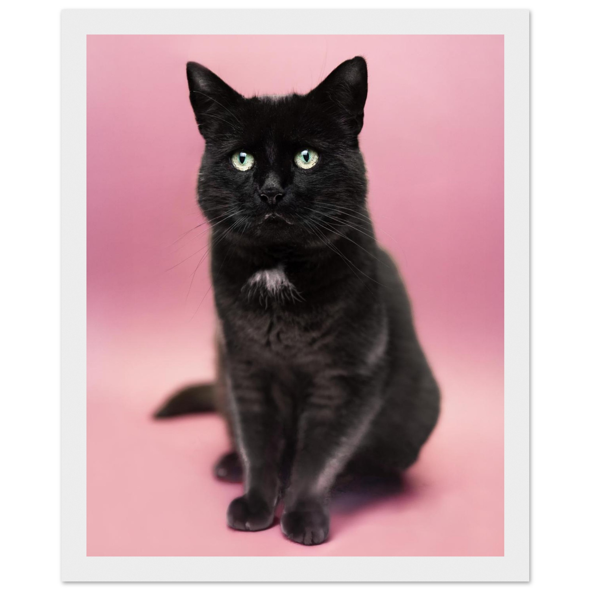 2126580a-fa91-49ed-ab47-a08928e37e48