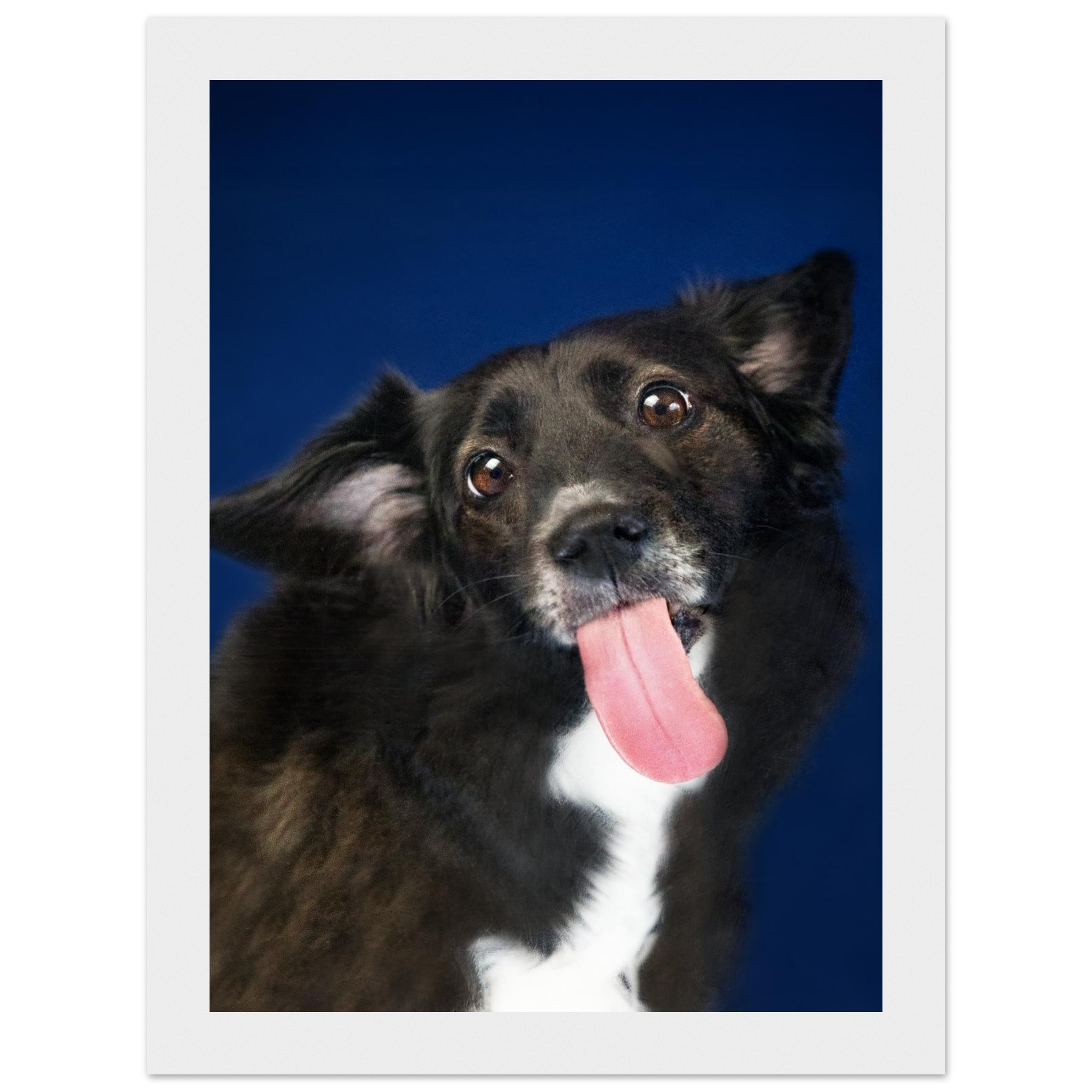 21eaa62a-8000-443c-88f1-03e961da12c5