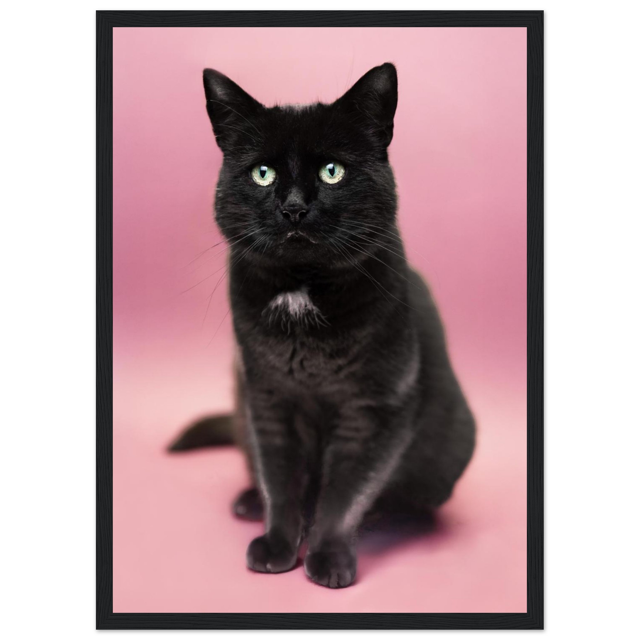 22863c6d-c684-4205-a160-c068ec7ed3fd