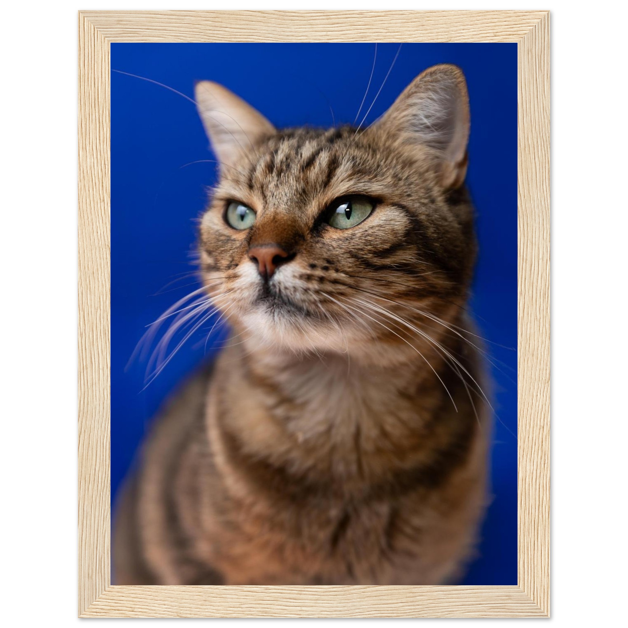 2a631670-7bd4-4732-9c8b-f3f2b4a7fbfd