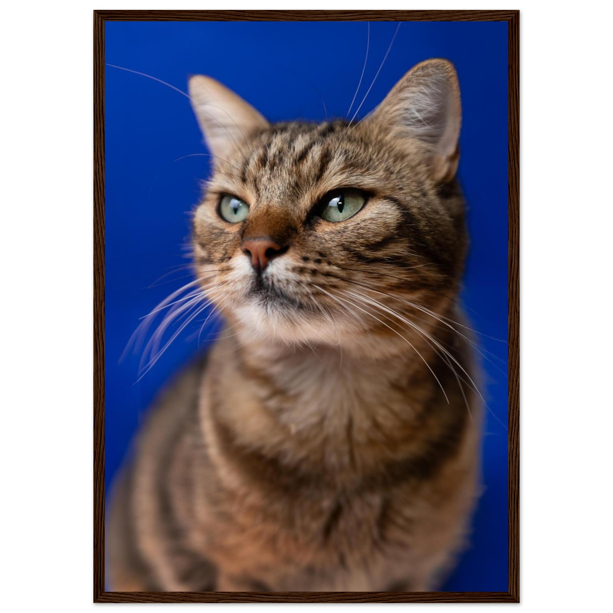 2fb28fa2-1c7c-4004-acca-40ea2d8679eb