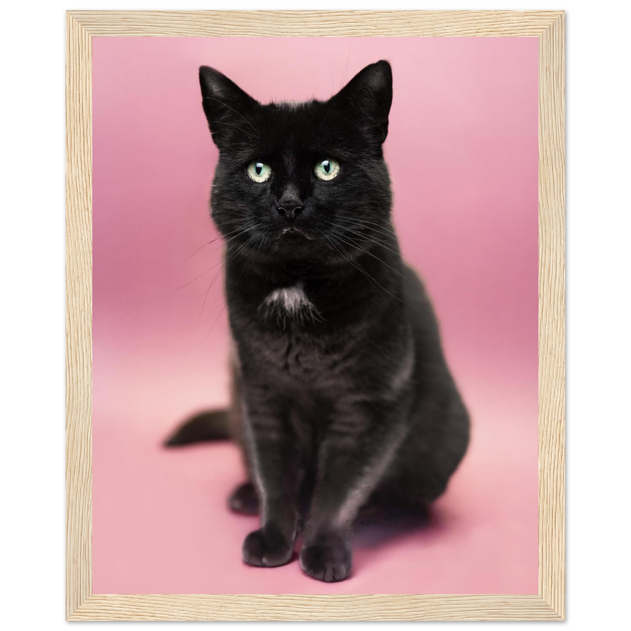 30e35035-74fa-4503-b71b-5cfe0e7b21c7