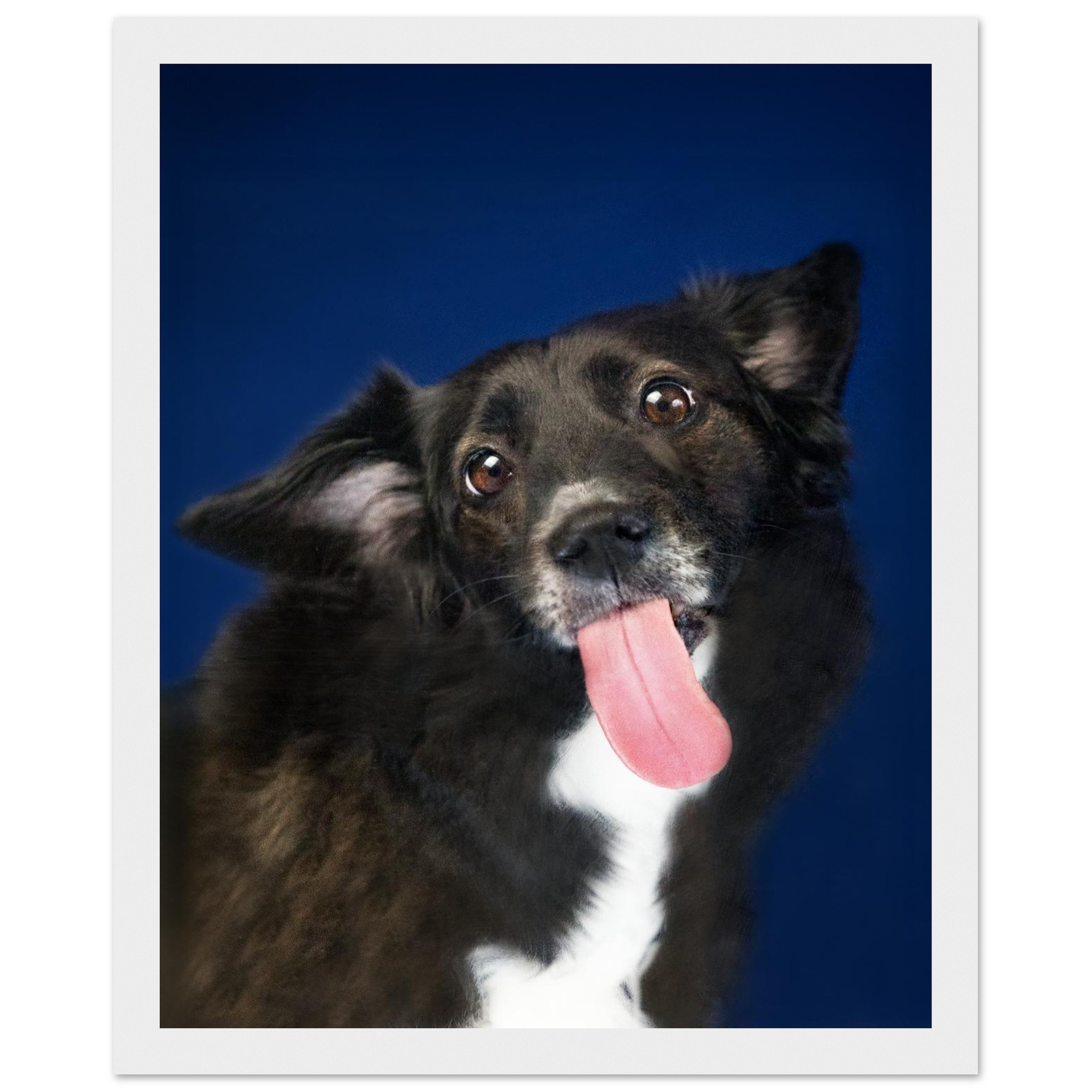 36b33e54-1154-4820-a896-d2e08ac1b7d0