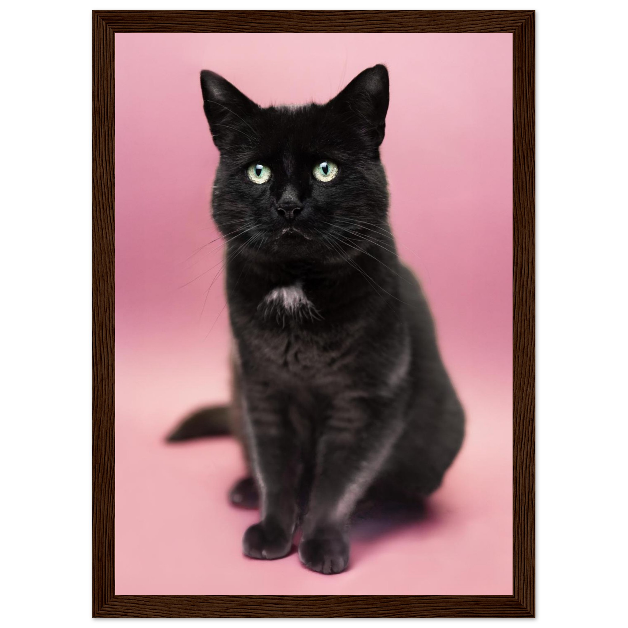 39565d9c-ccea-4dba-a405-0ada58675c3e