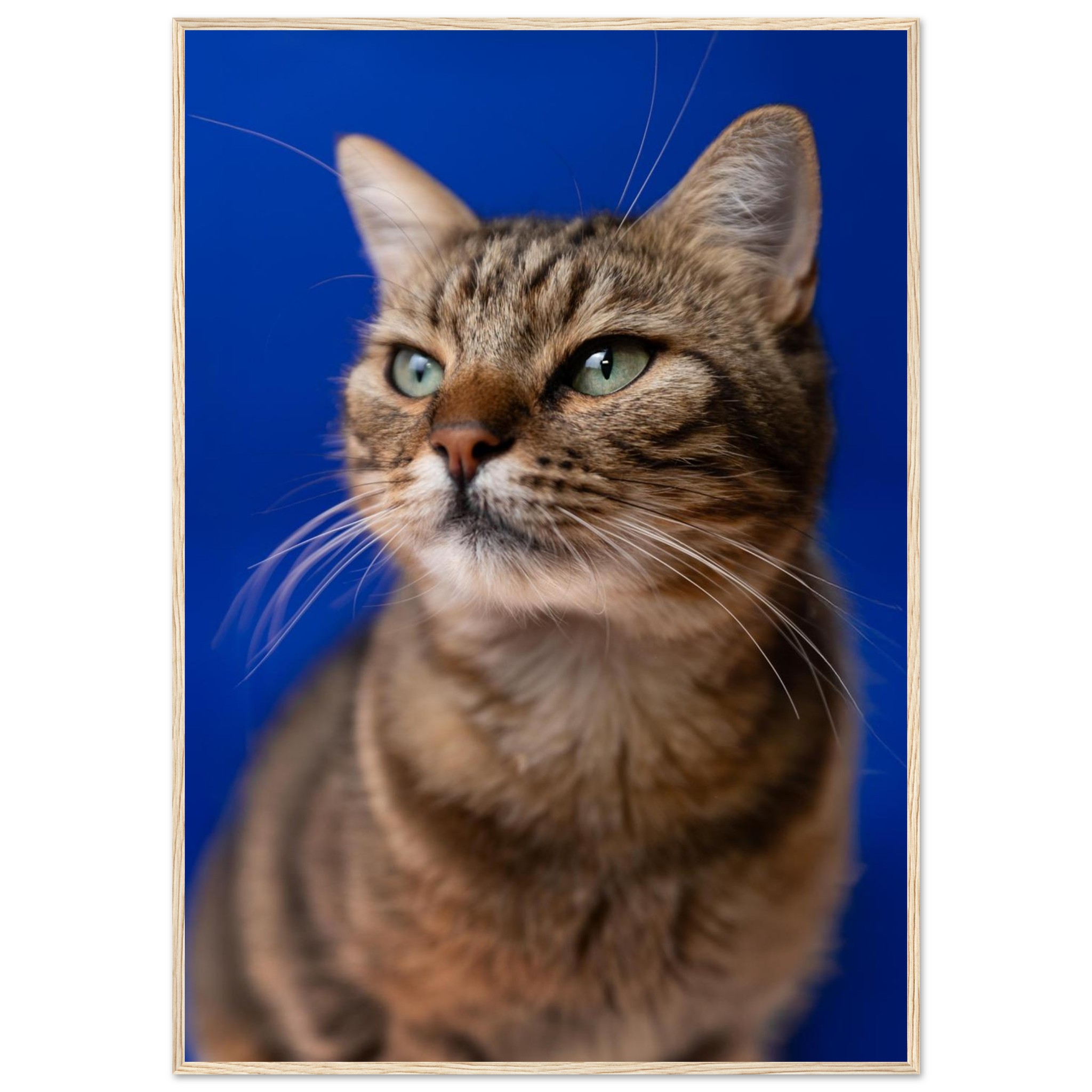 3a7c0fc2-9b21-4e22-b7c5-e06bdb8aec8d