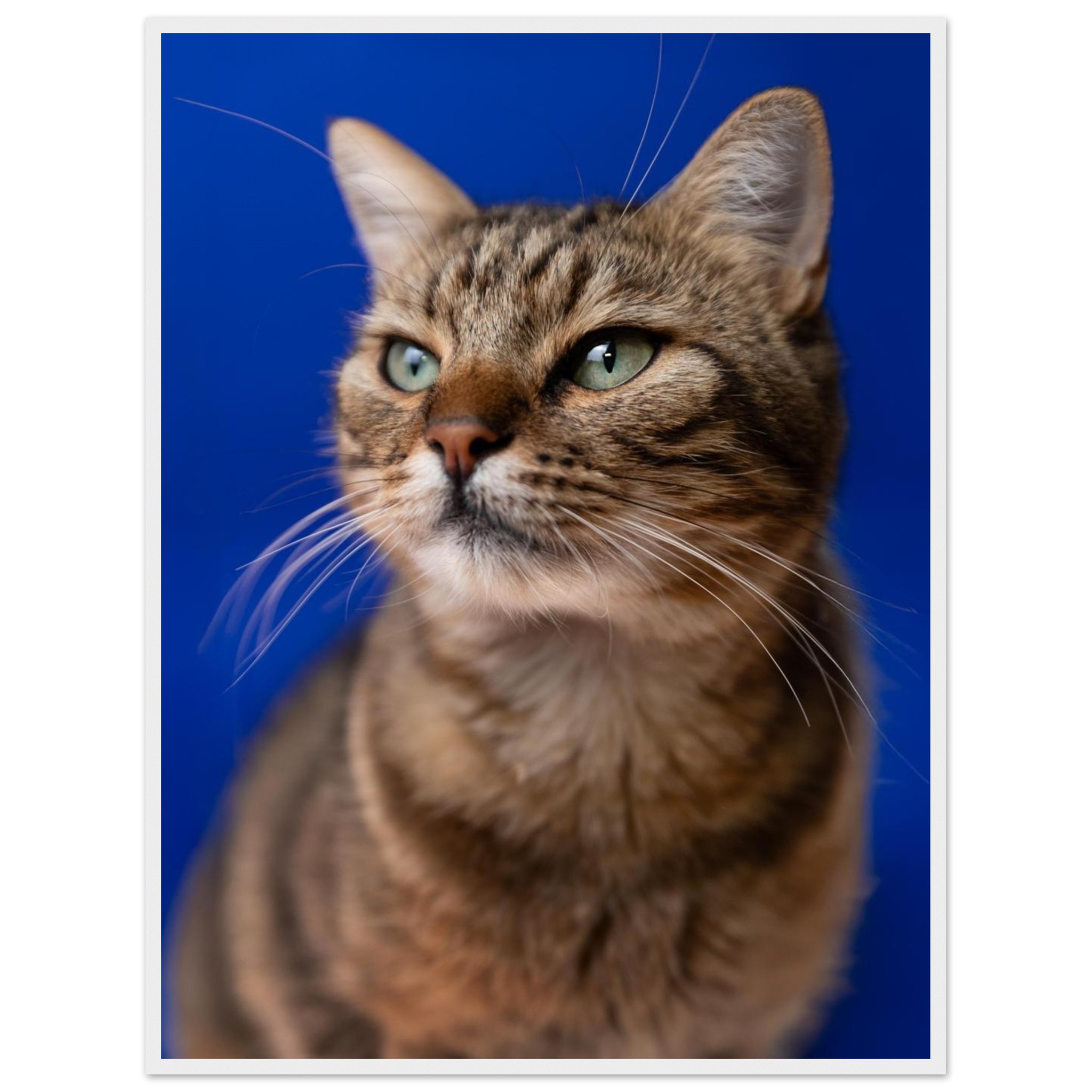 3c47f84d-473c-42bb-94ad-286d69073d41