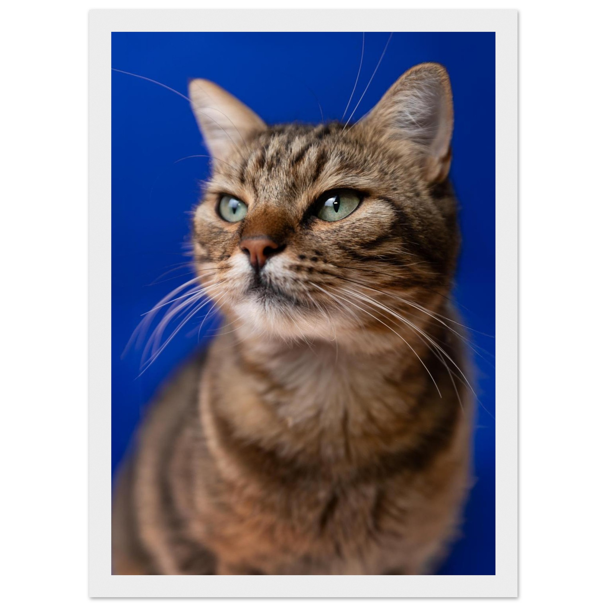 3cebd60a-149b-4d31-9b47-7e0cebcfe7fb