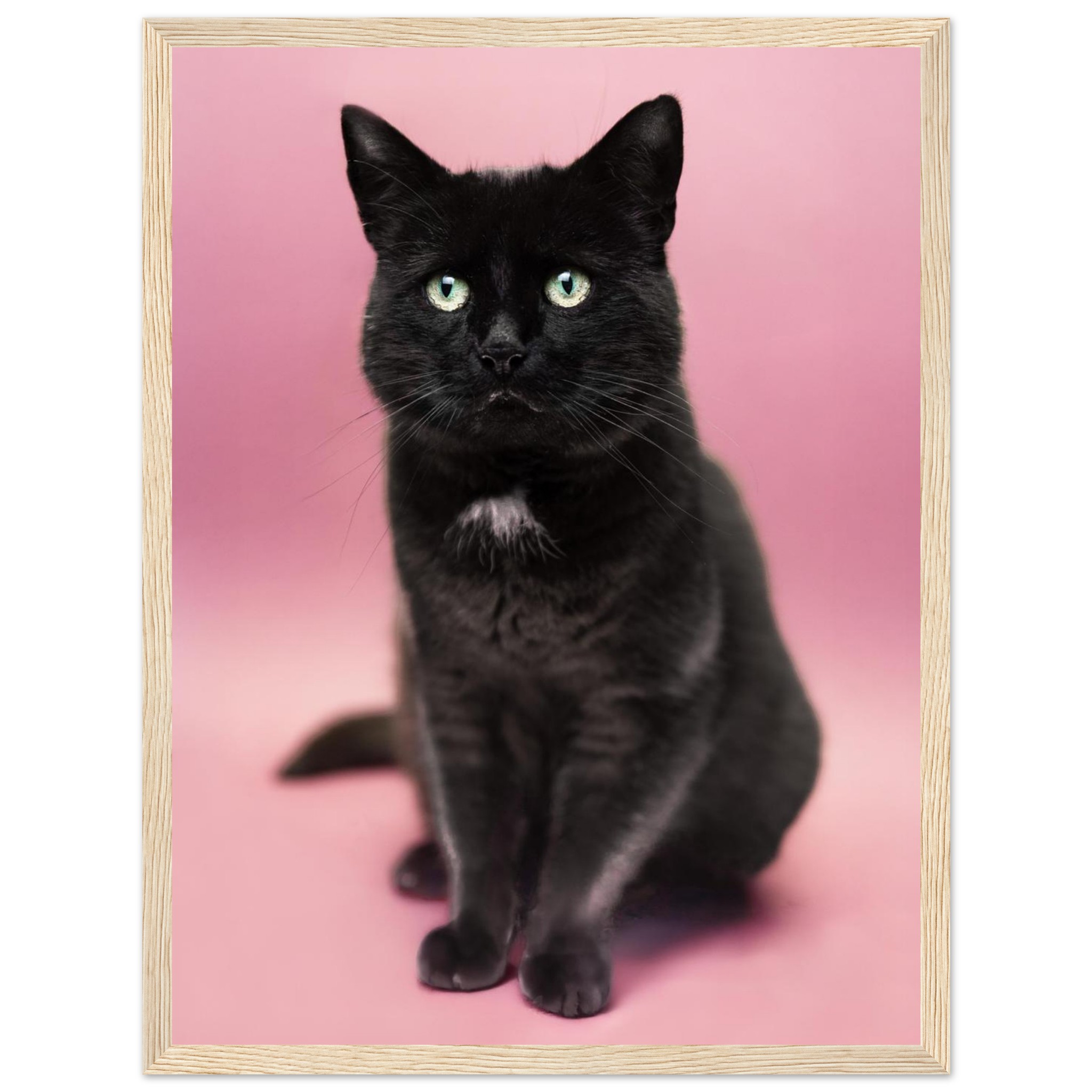 3fed81fe-2c8c-421f-8ad5-69597c87d7bd