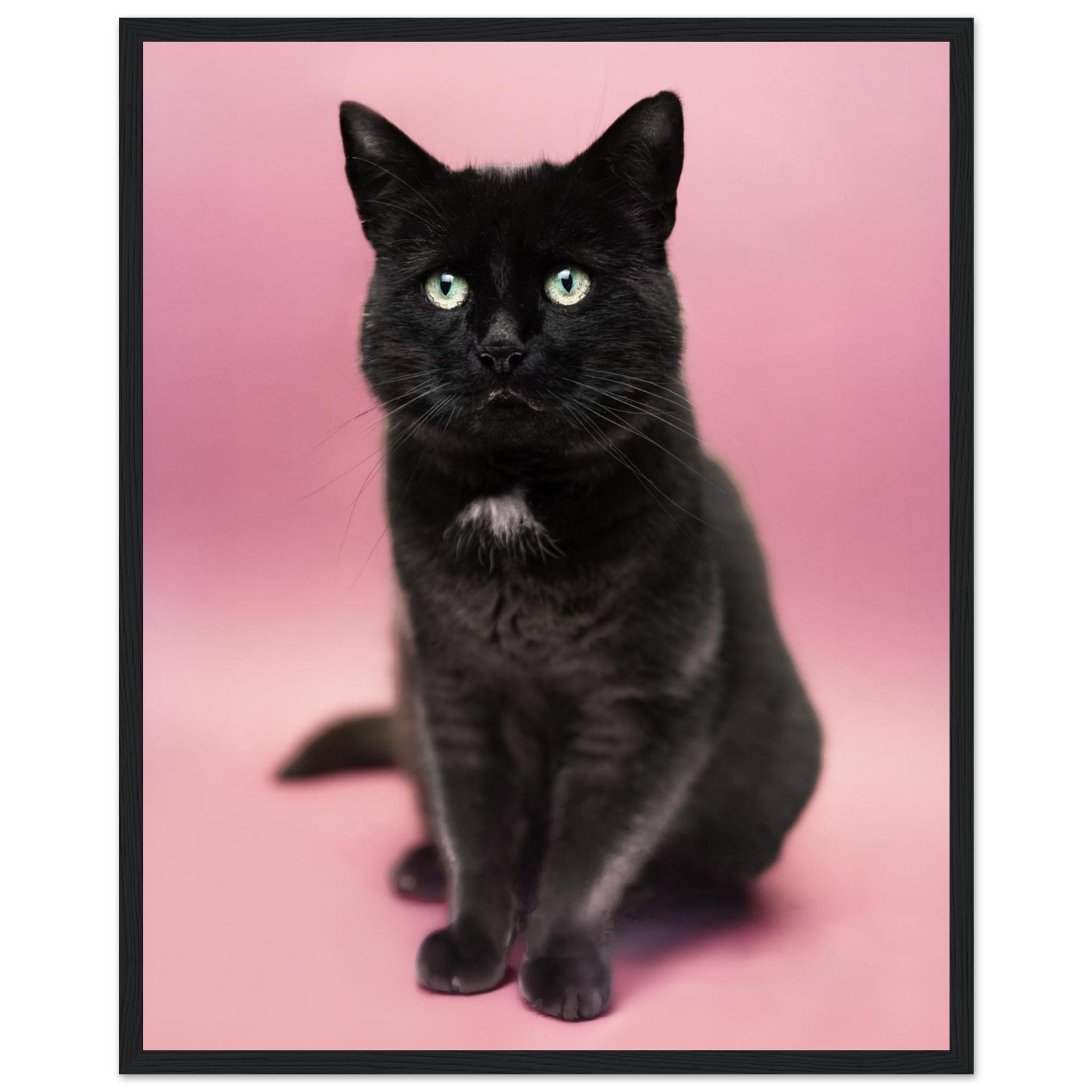 432ecb2d-08fa-45bc-96ec-097b0314b715