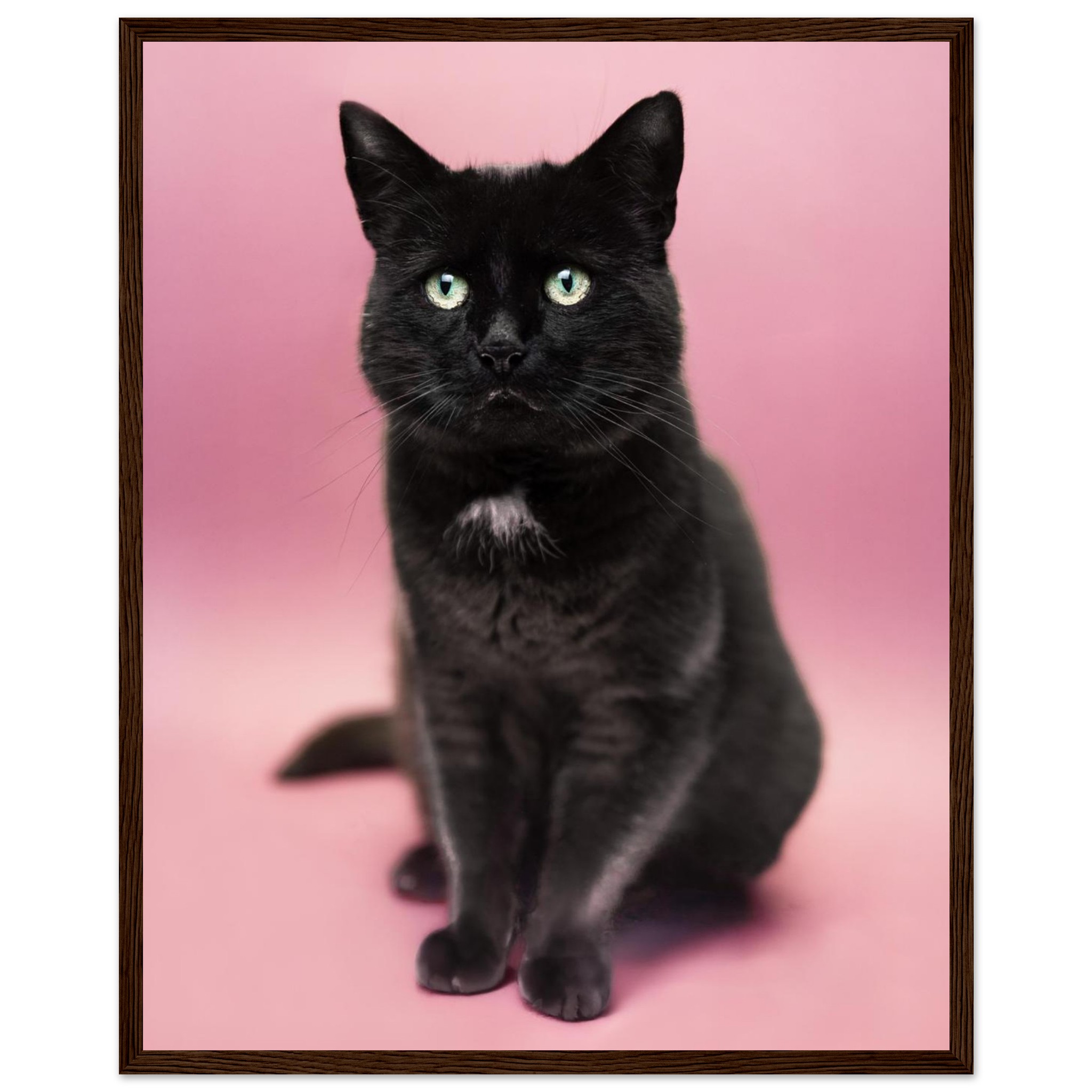 44ee5f5f-726e-4c13-9463-f69bb89d5f59