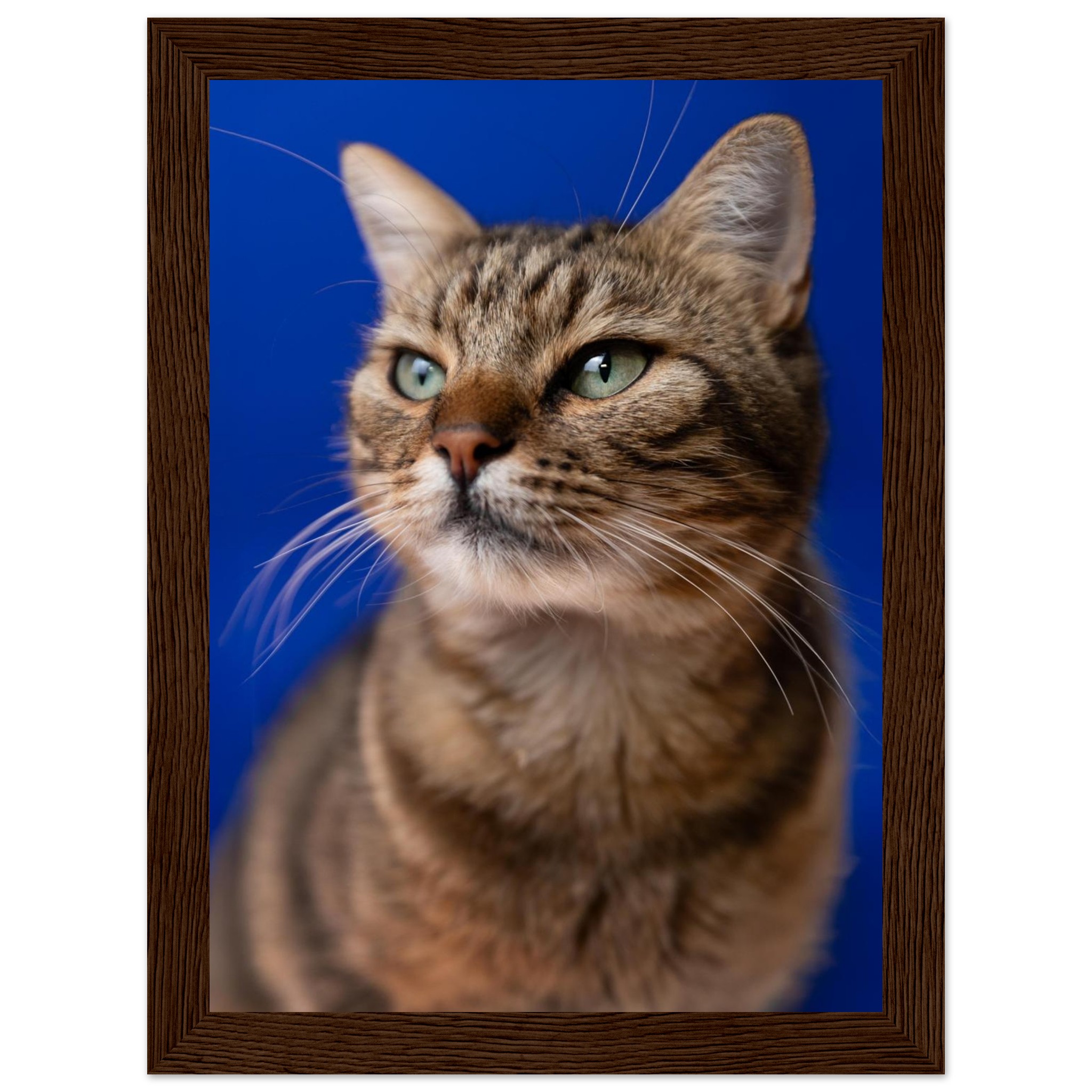 49f4339d-5910-4b2e-83cf-88583742d62a