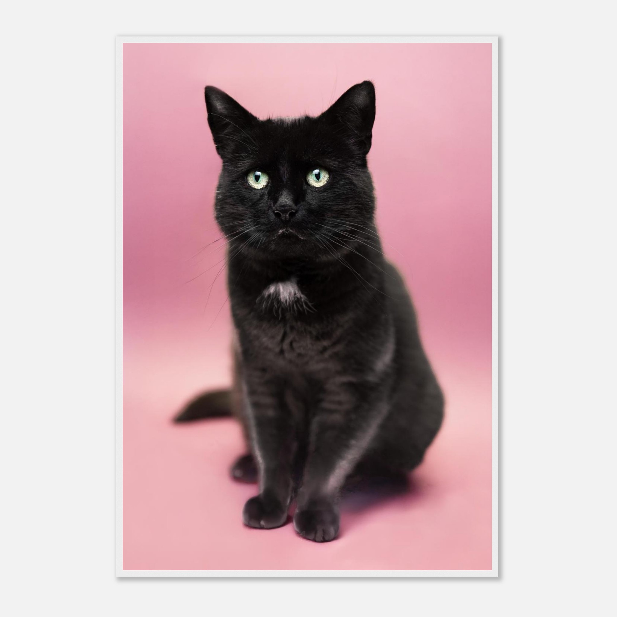 51627336-404d-4e10-af9b-ae14c28c157f