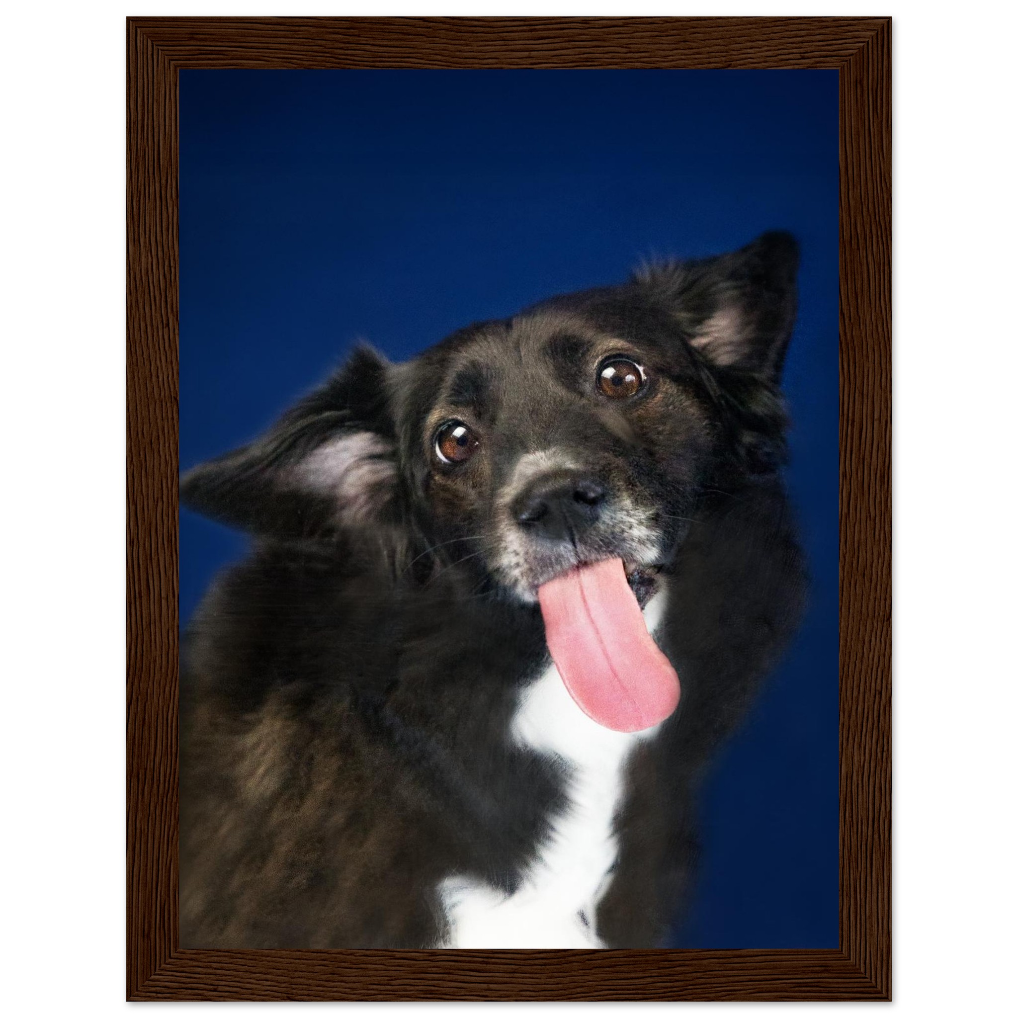 53fccfd3-2525-450e-bf1b-c65c700b32f7