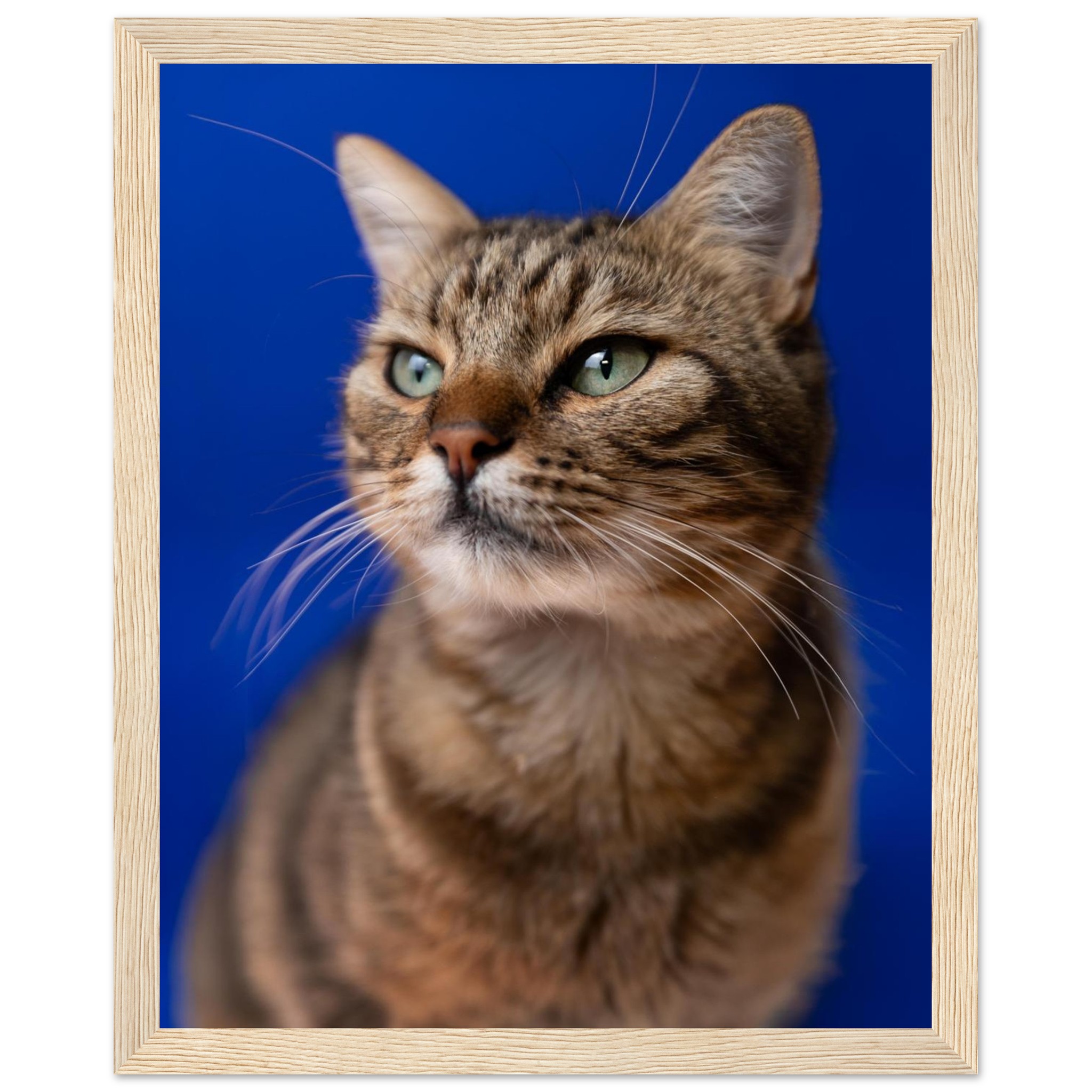 56ef8879-8f7a-4c6f-8f63-b74ed0638da6