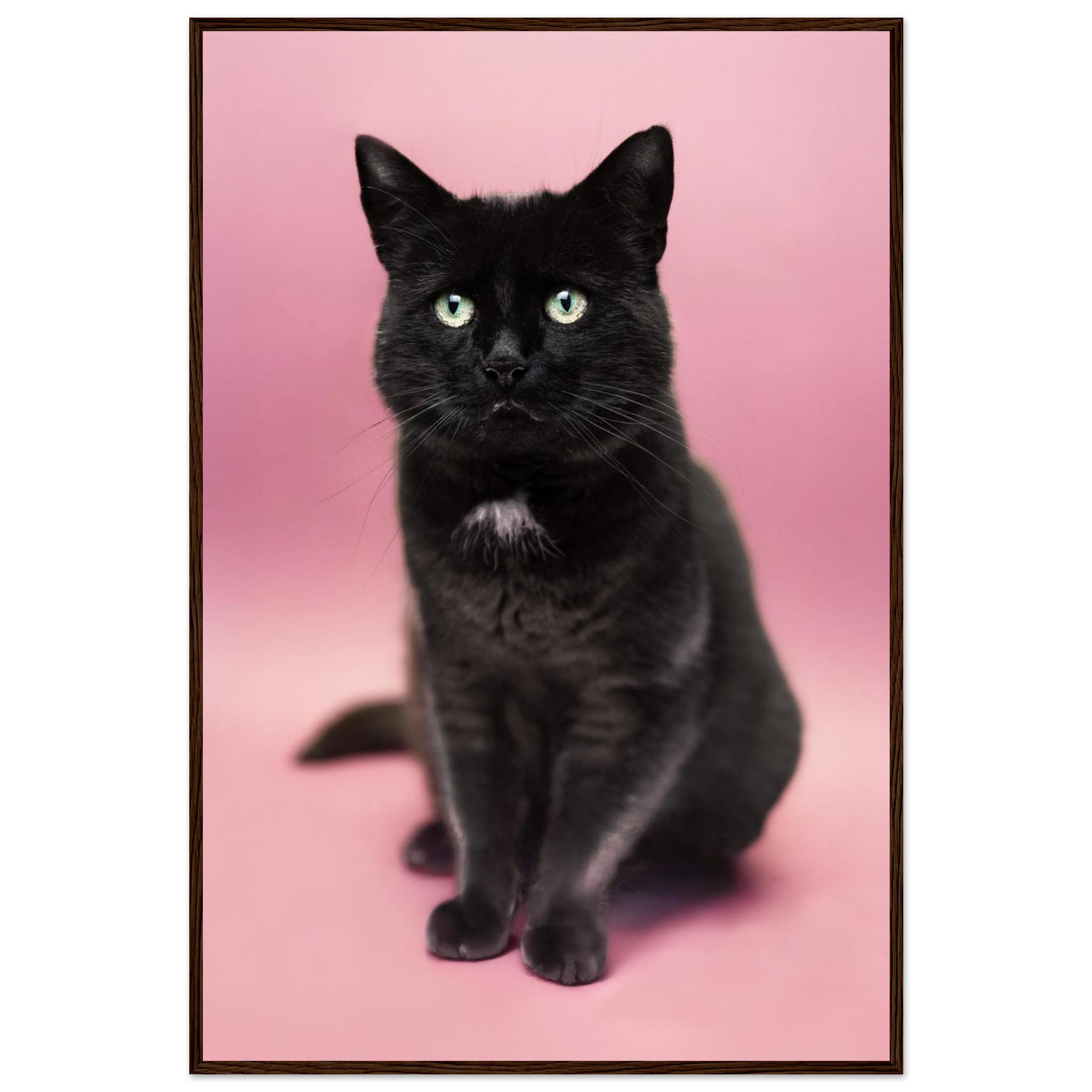 5a092539-2a5e-467b-a893-c2cbc8ee7787