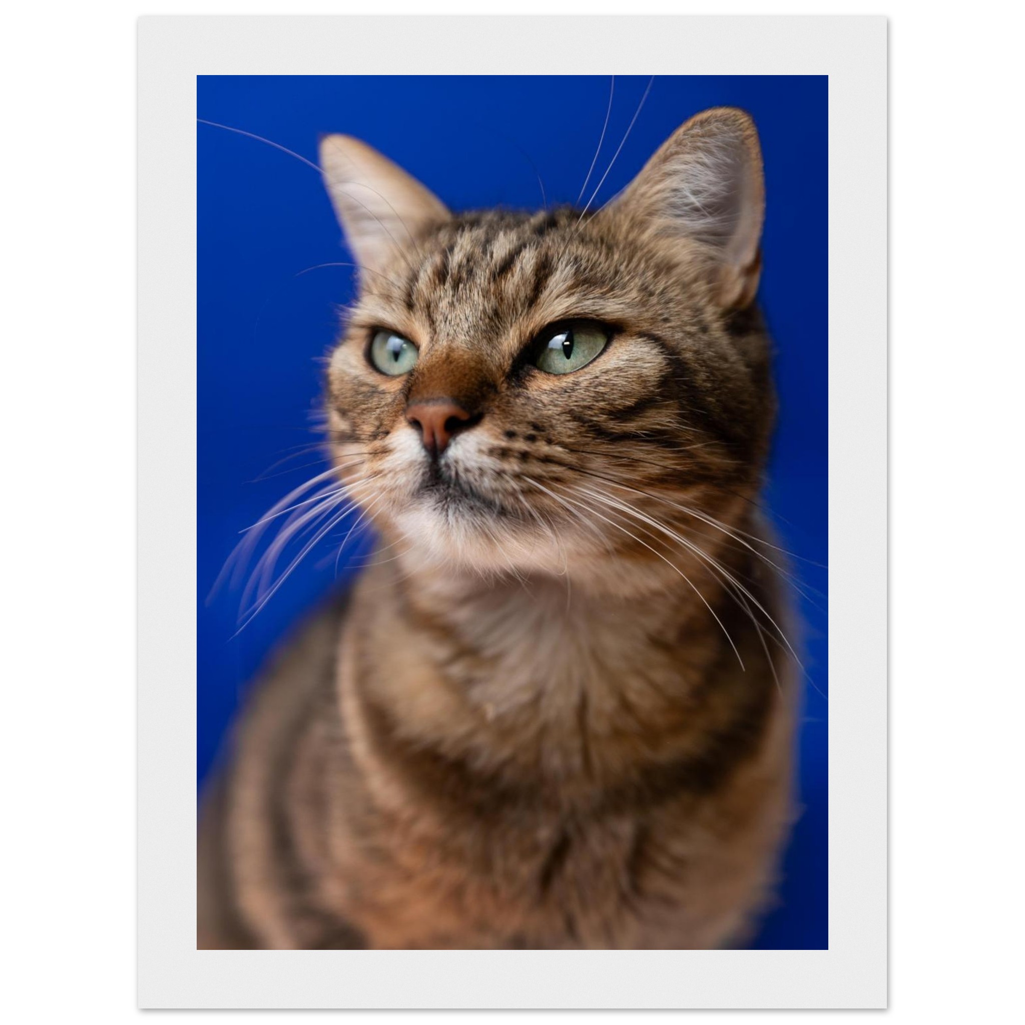 5aa8005a-d8cb-4a89-b573-5c7a1a2388ab