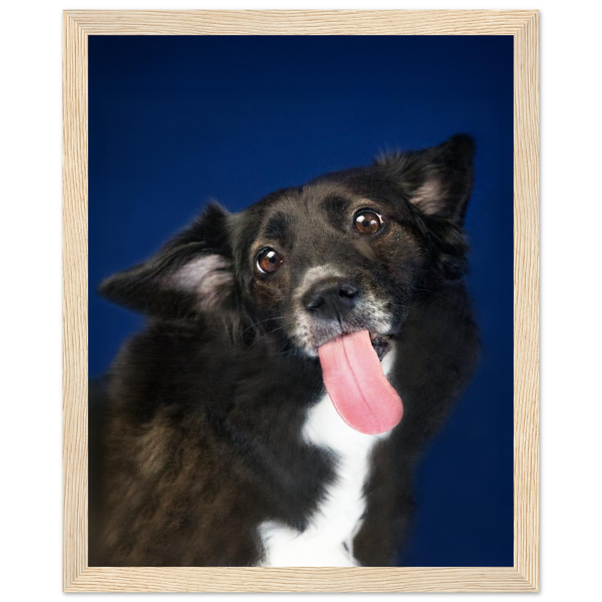 62c05534-6376-4c9c-bd84-81214d5be250