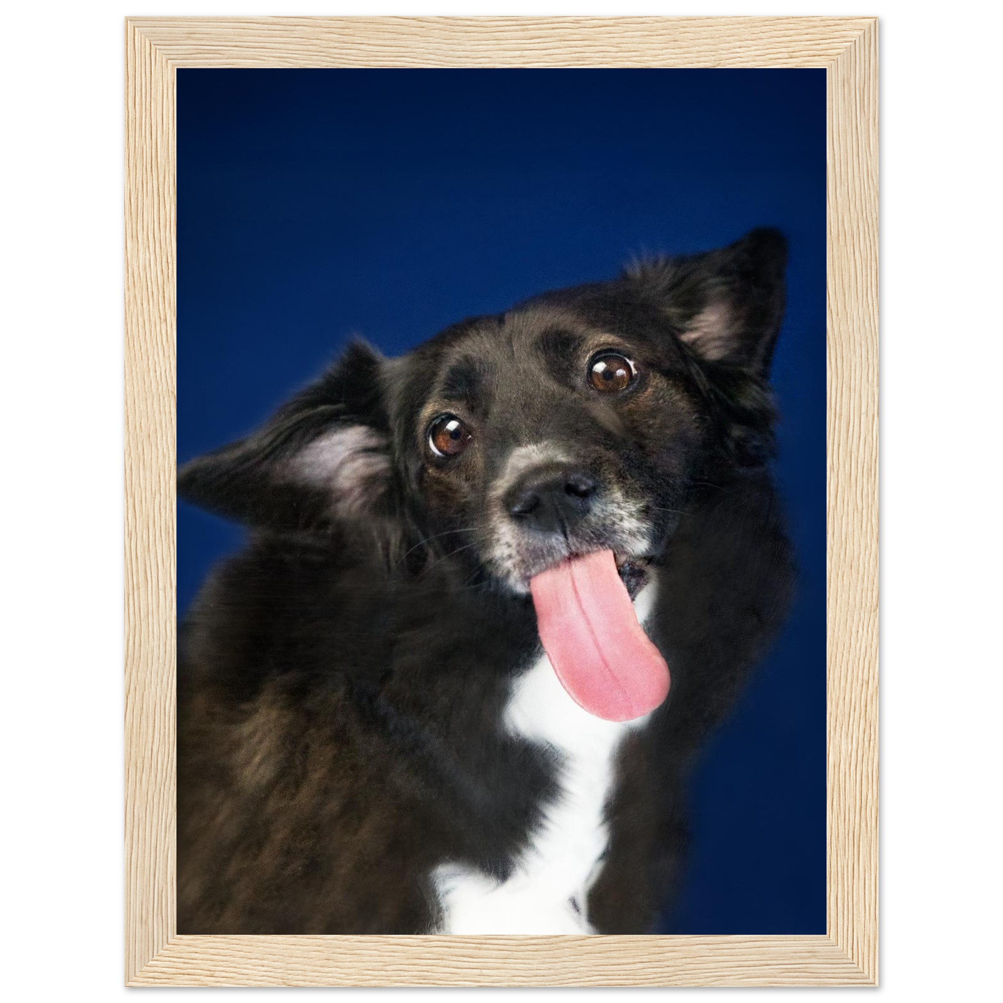 74e6d69c-0f7c-4301-b404-00deff90e2eb