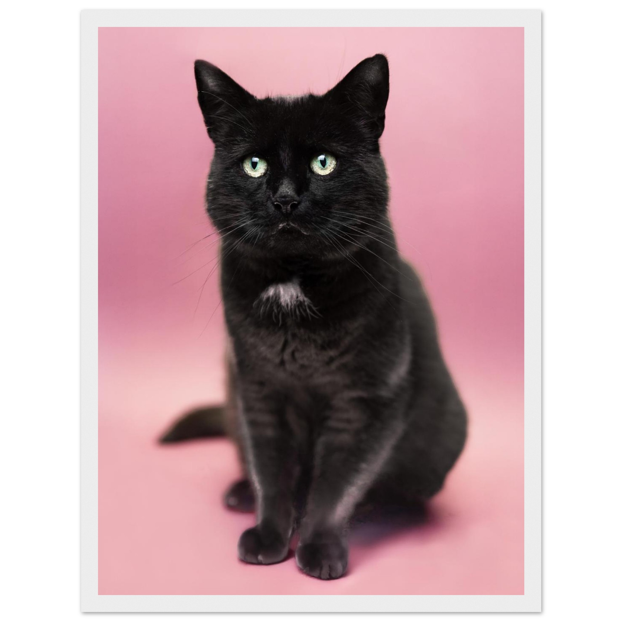 7c753a06-25da-434f-bb2c-1b43f85a974b