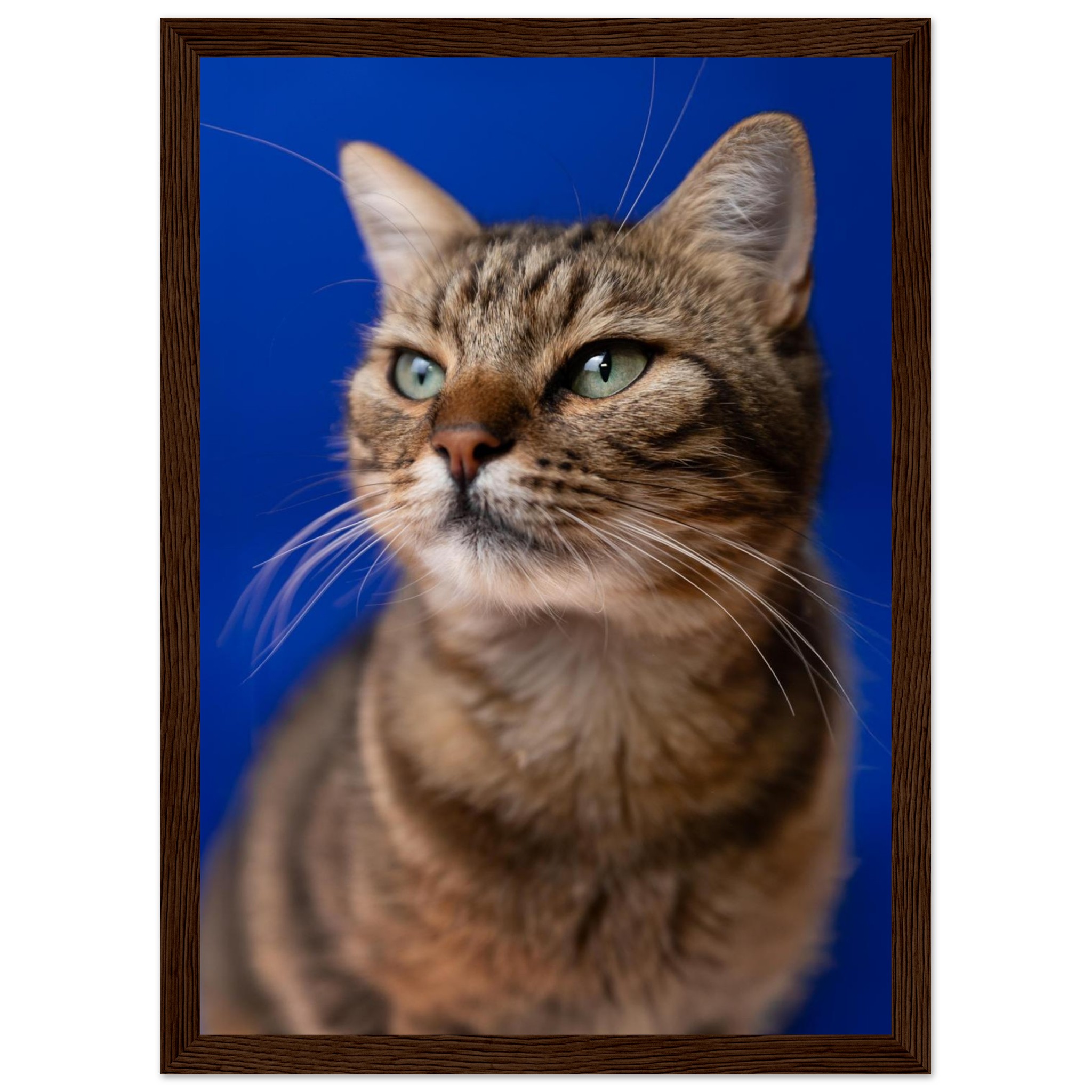 7ef7b61e-c241-43a8-92e5-a70b4e2e083d