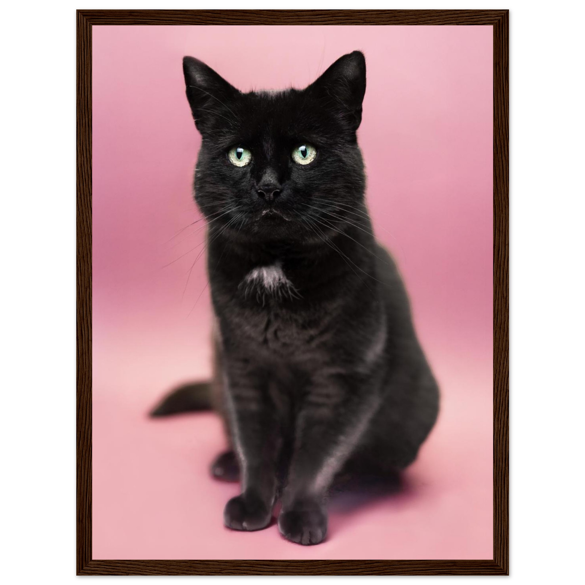 8201d635-1008-466f-a862-ced0b8afd46e