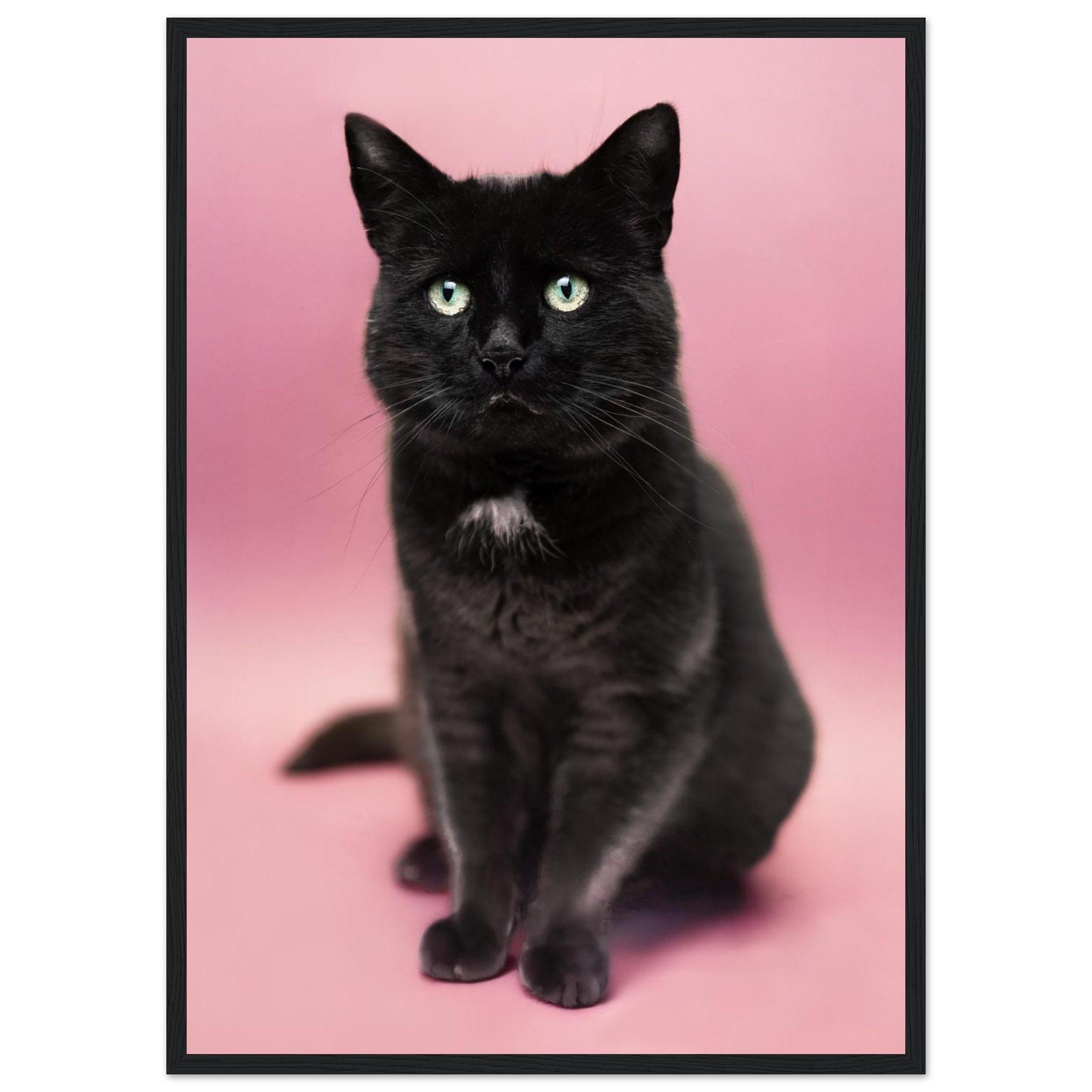 8276c947-05e6-487d-855d-ce5870246a3d