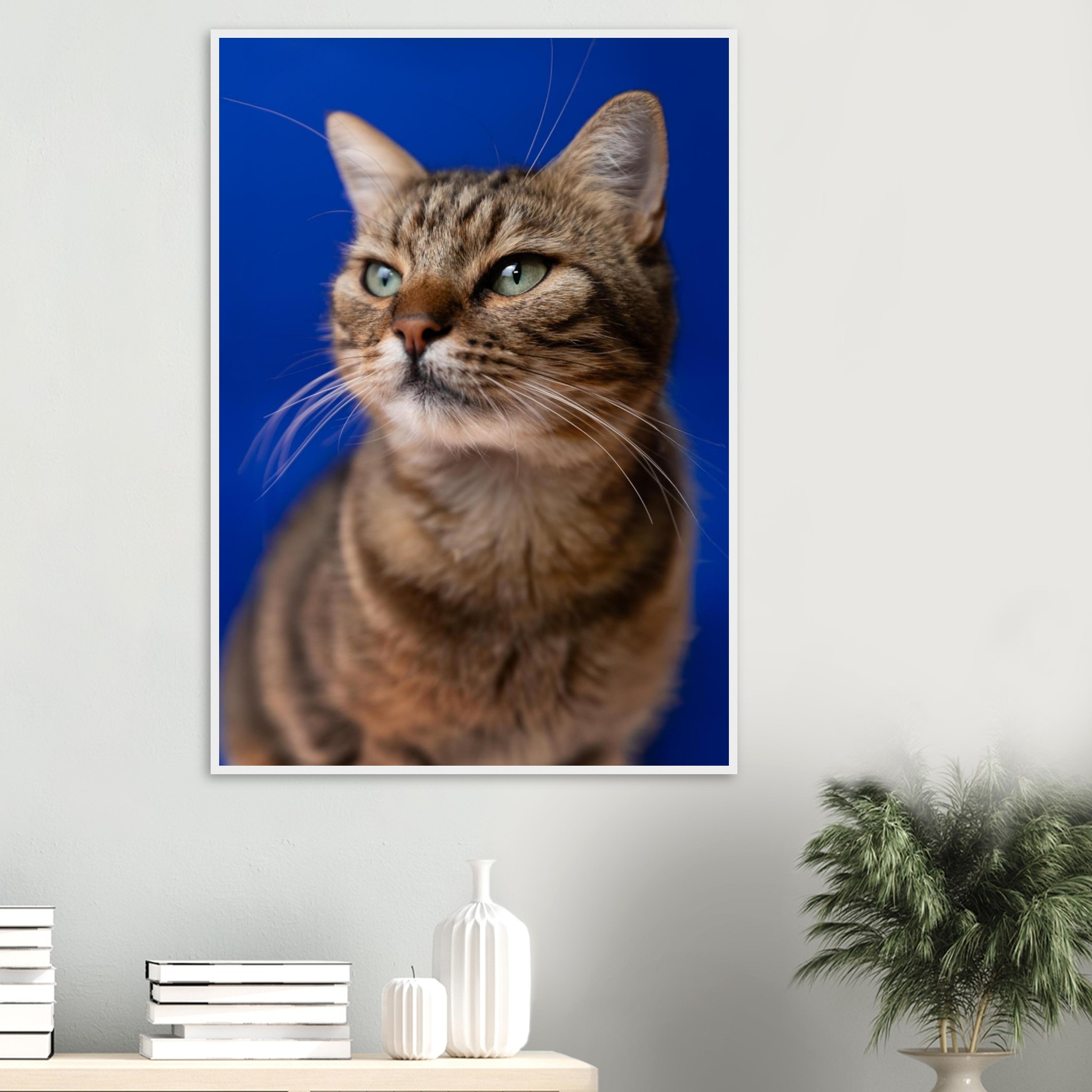 906f0b04-e4d4-4a20-aea3-1a1f10262e25