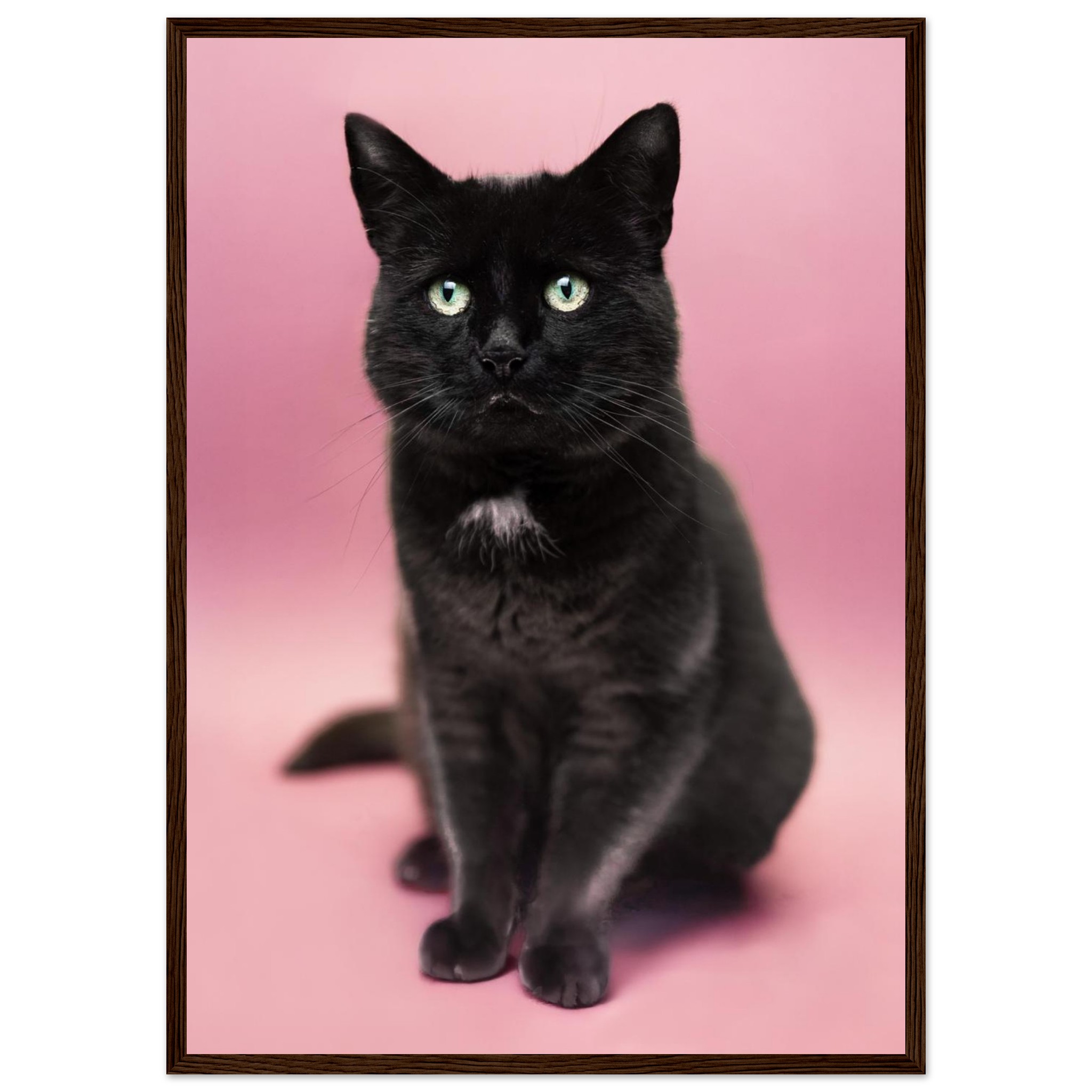 92e4c1fb-6fde-4e23-989e-7e2b924f12da